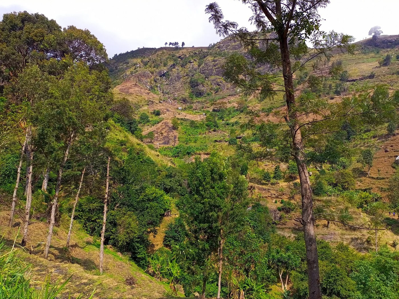 Uluguru Mountains – photo 31