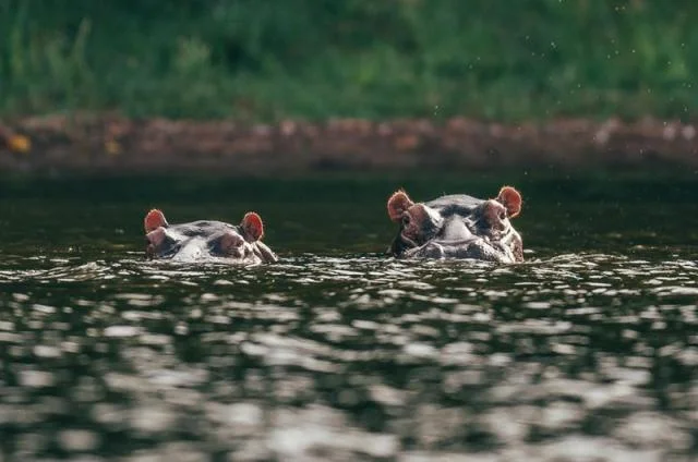 Lake Victoria – photo 11