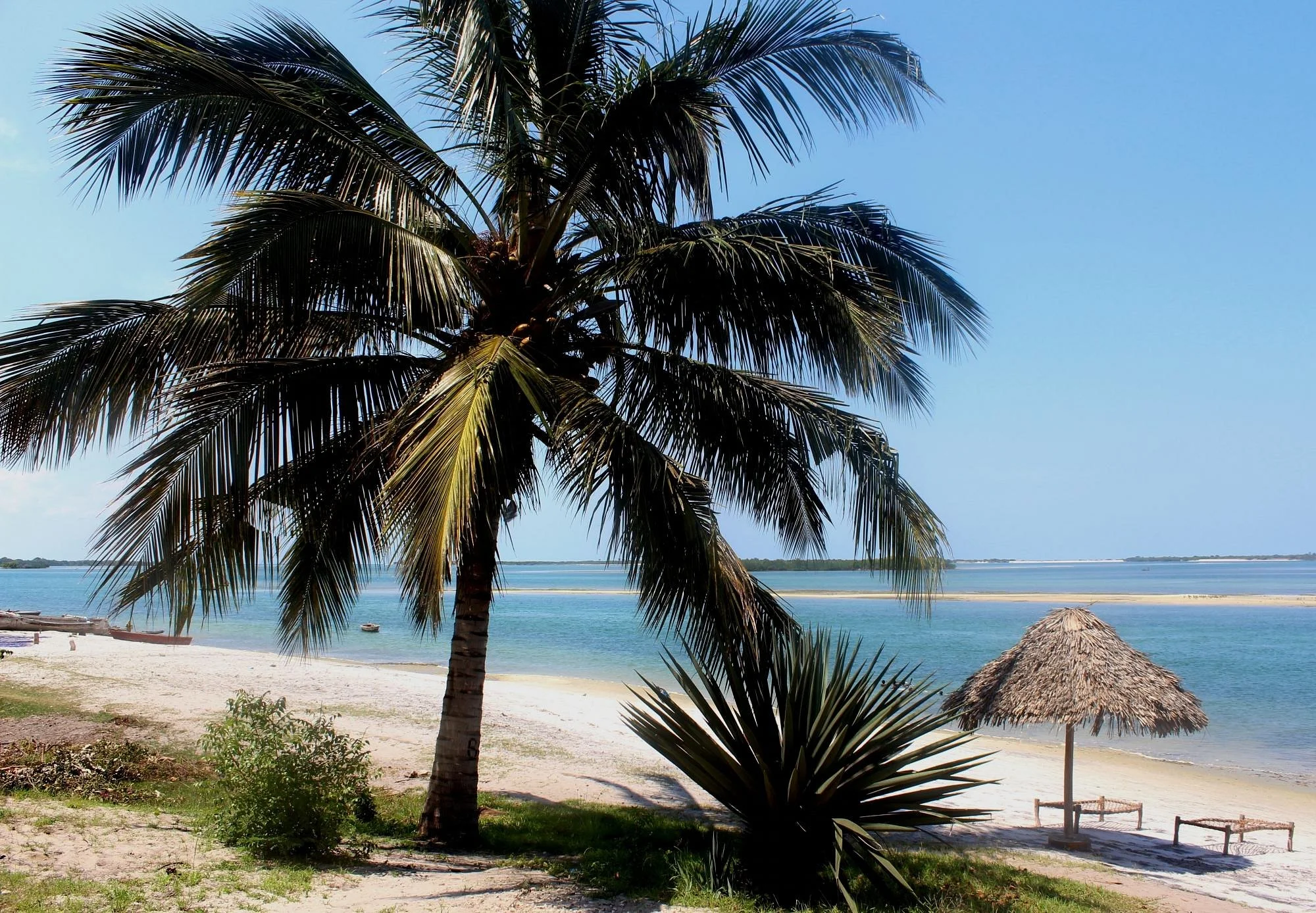 Bagamoyo – photo 15