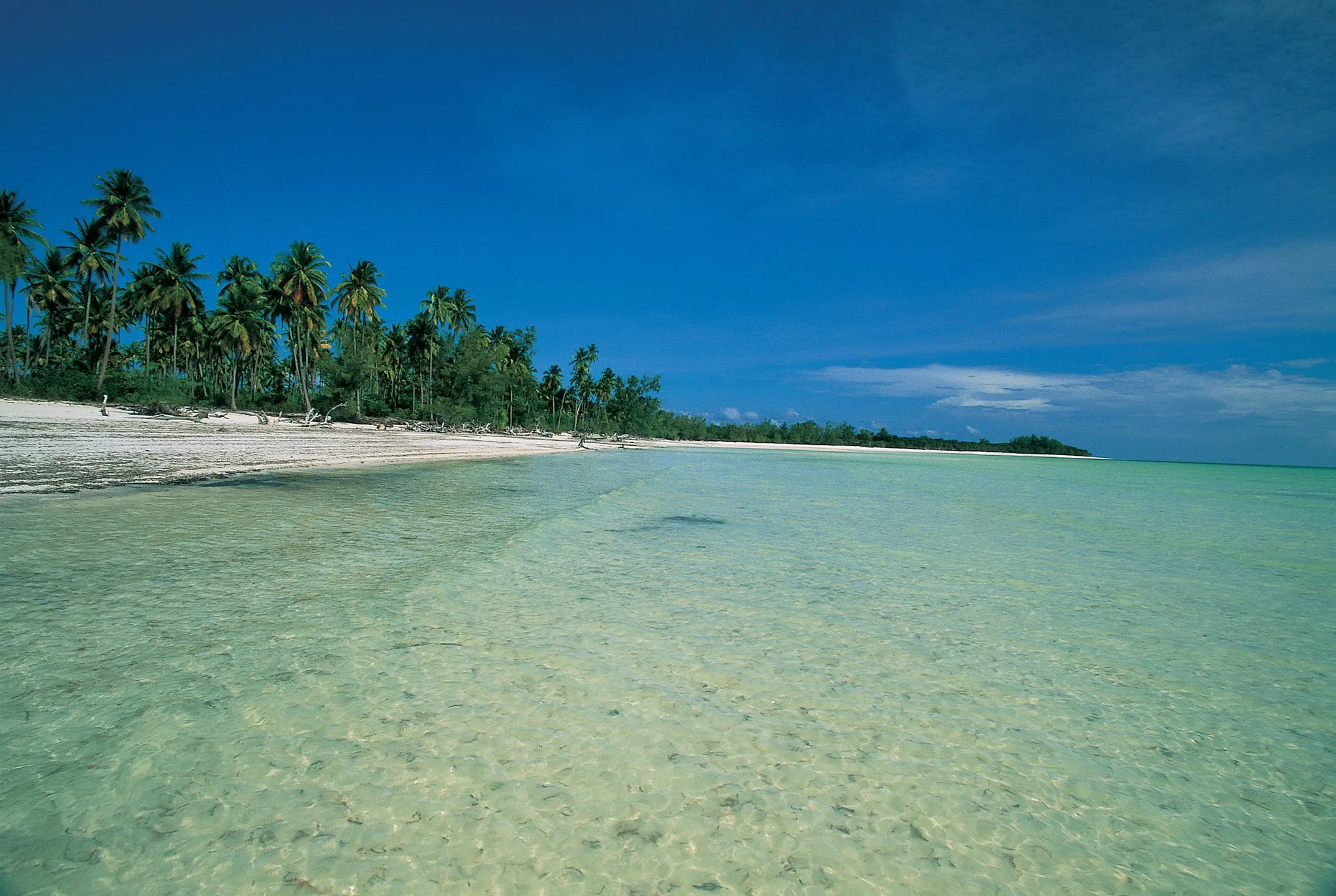 Kilwa – photo 10