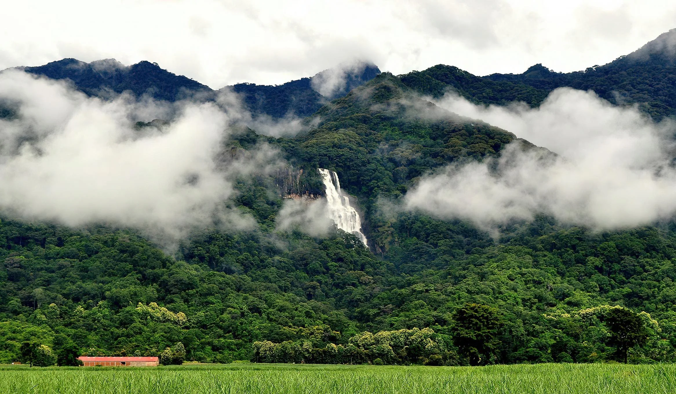 Udzungwa Mountains National Park – photo 14