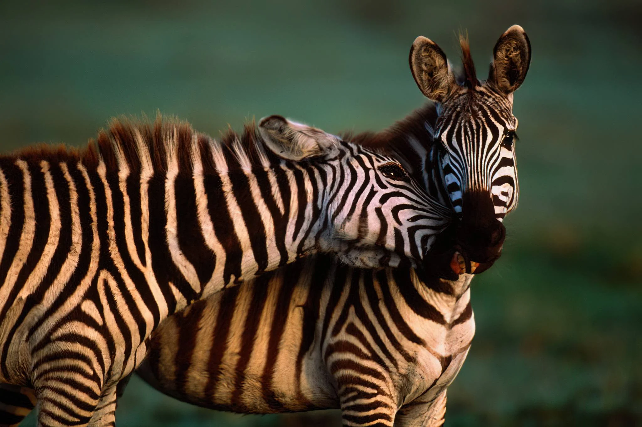Ibanda-Kyerwa National Park – photo 8