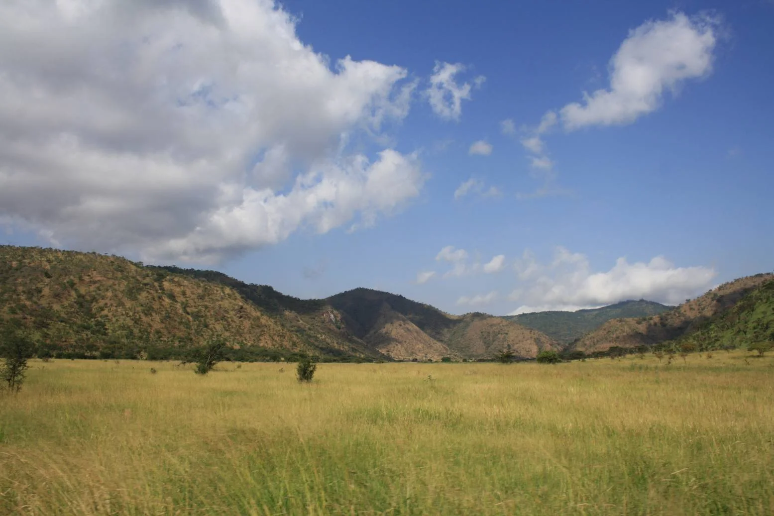 Mkomazi National Park – photo 4