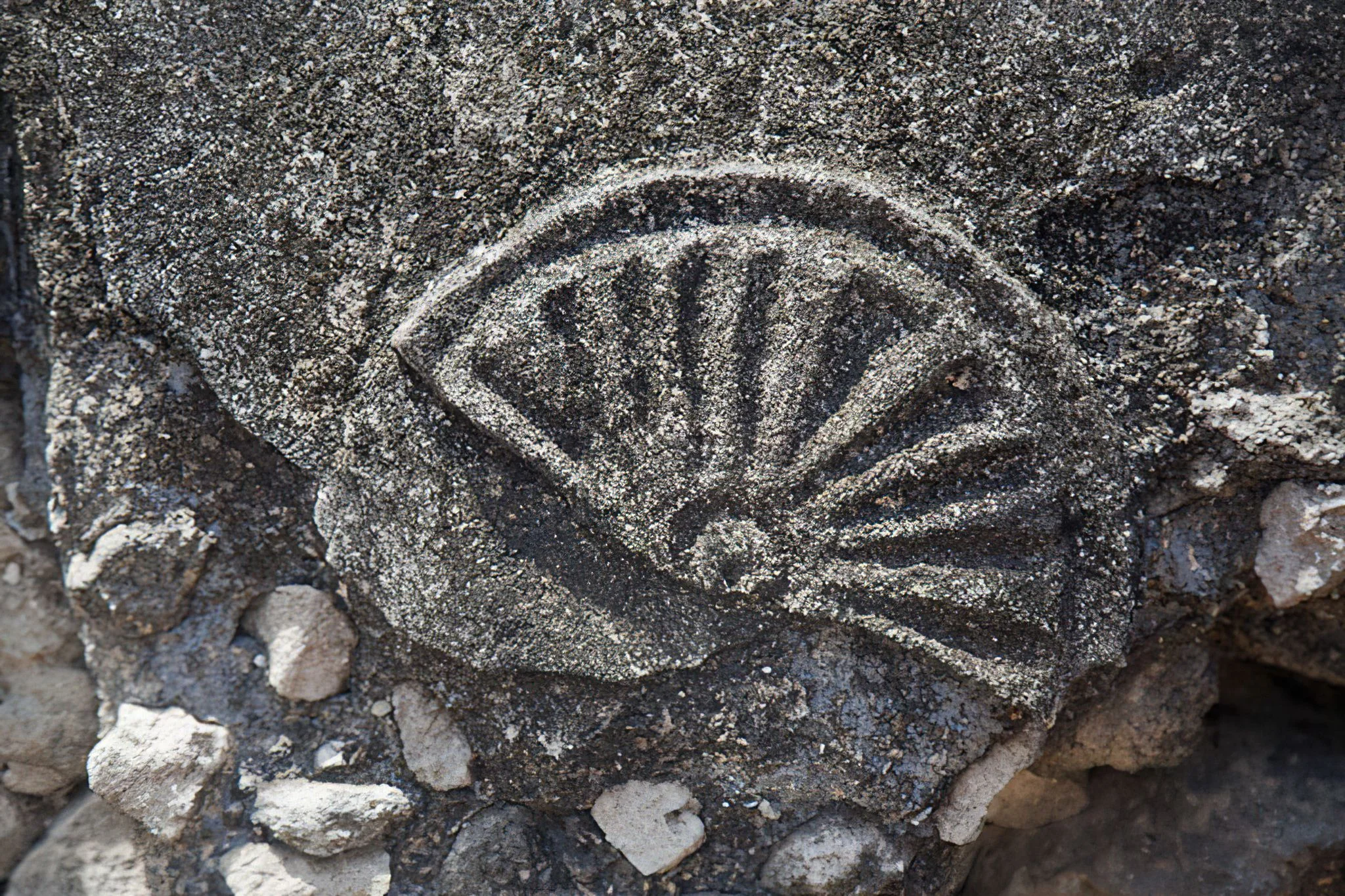 Kunduchi Ruins – photo 10
