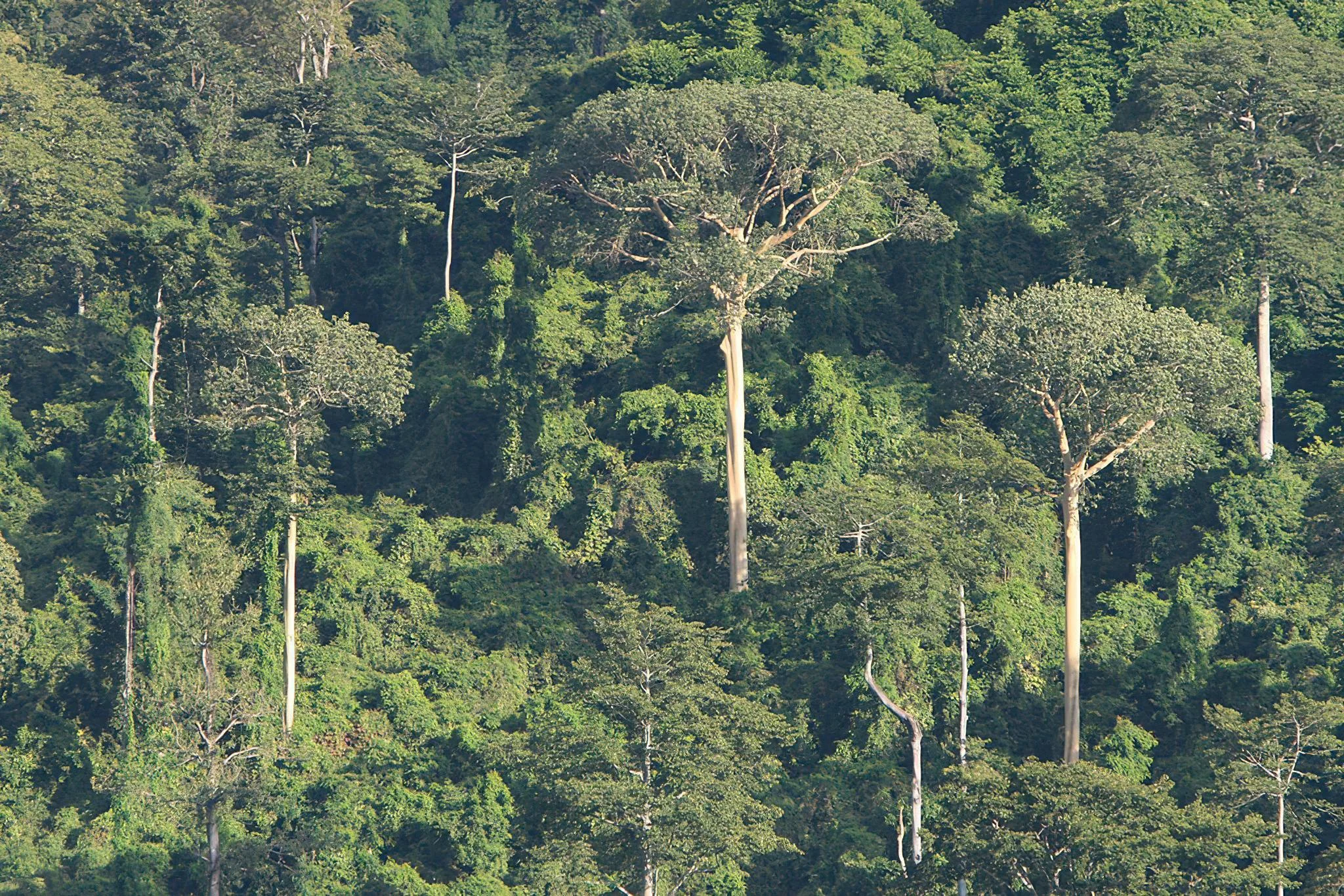 Udzungwa Mountains National Park – photo 17