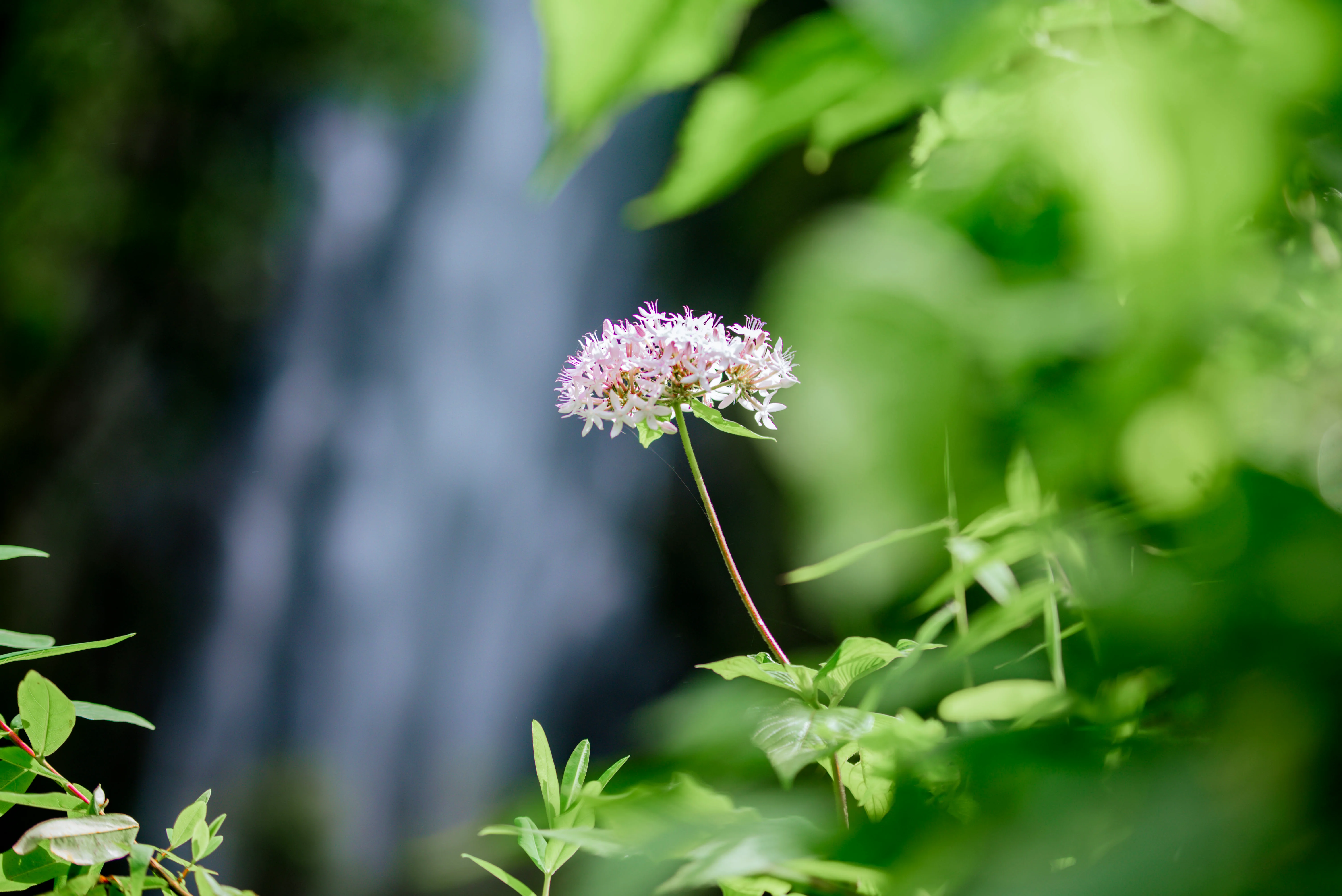 Materuni Waterfall