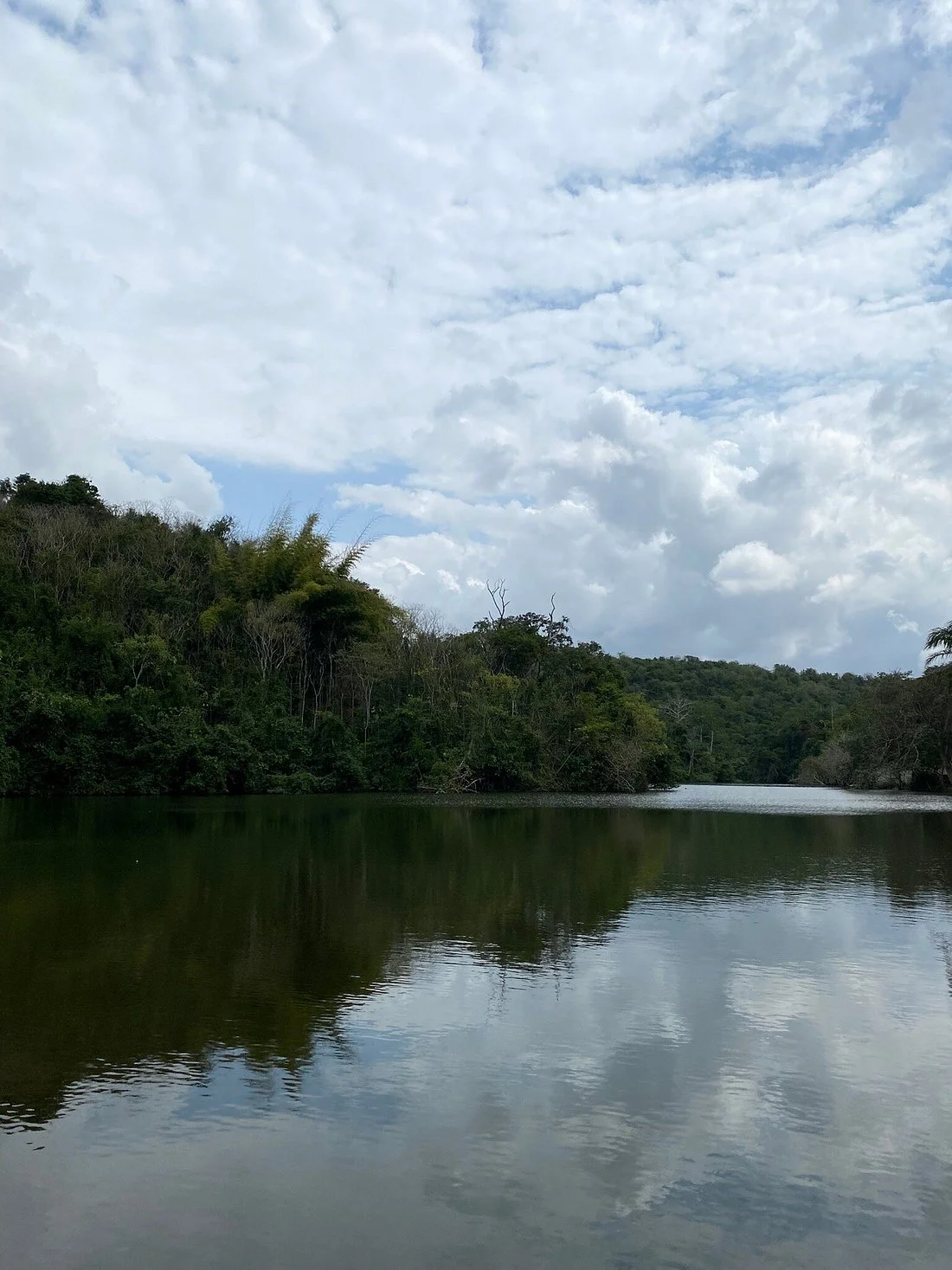 Pugu Kazimzumbwi Nature Forest Reserve – photo 14