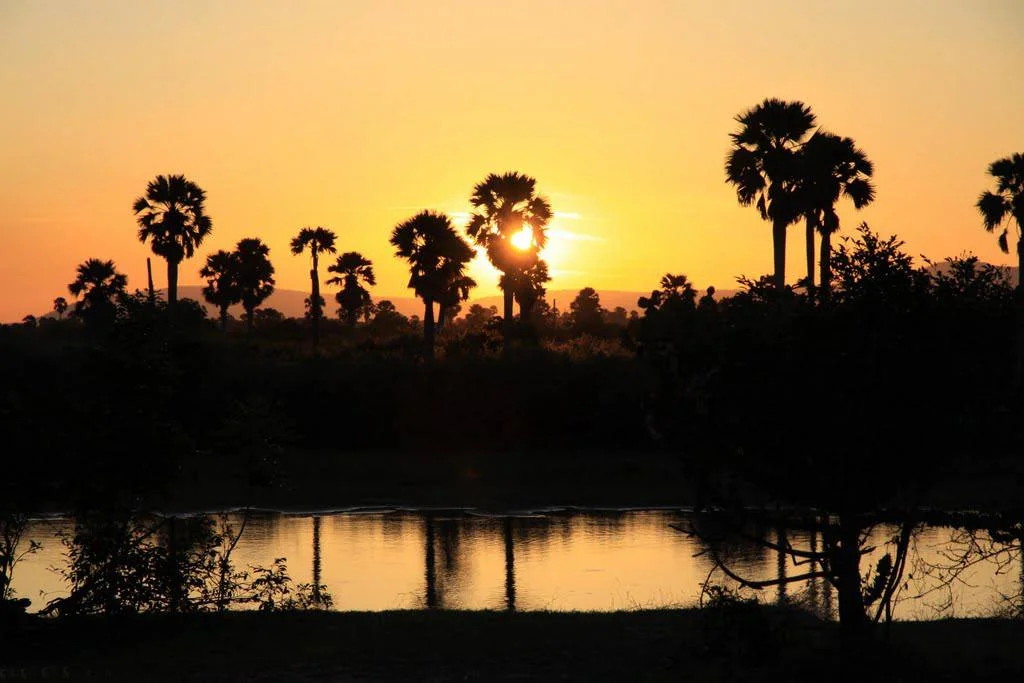 Nyerere National Park