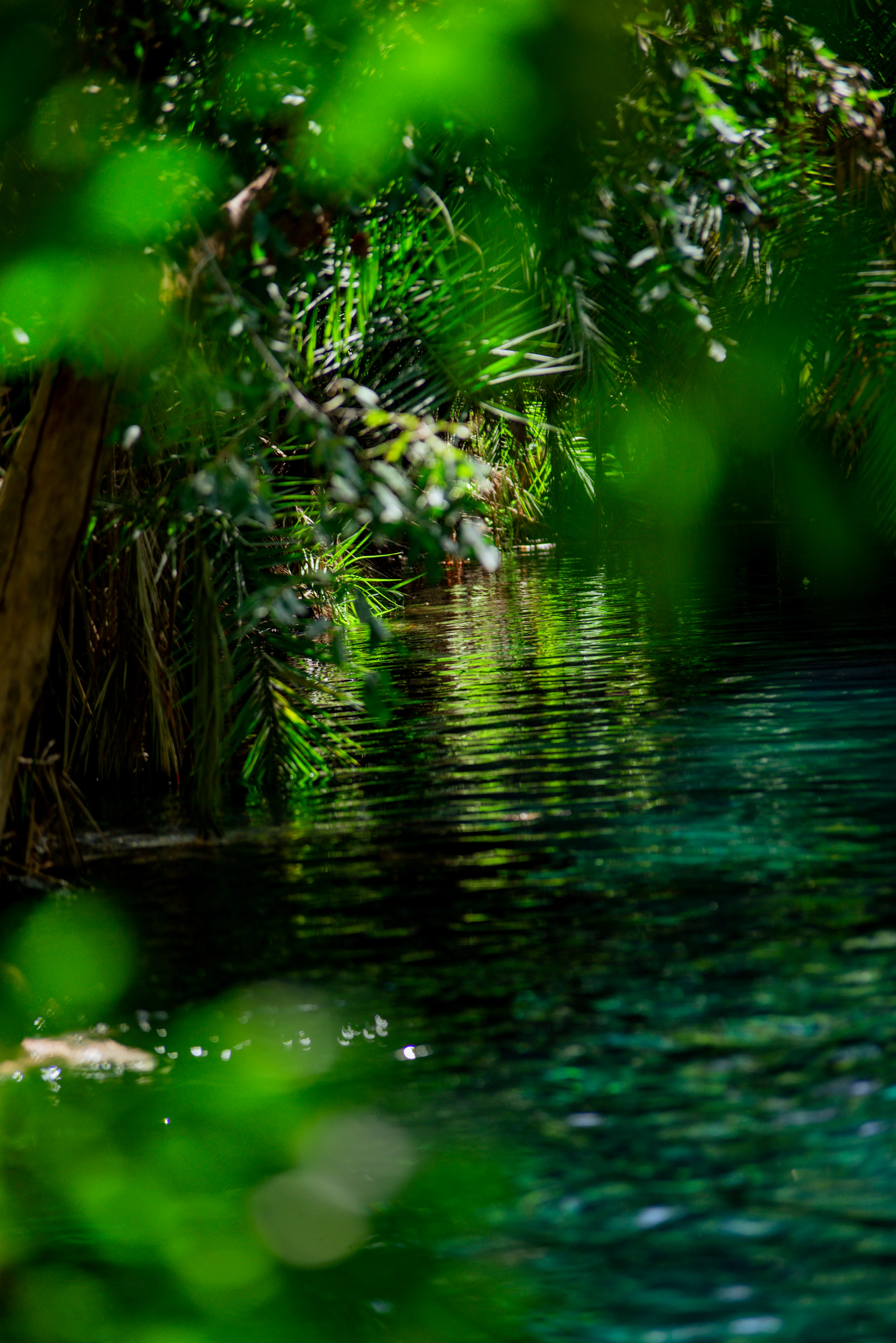 Chemka Hot Springs