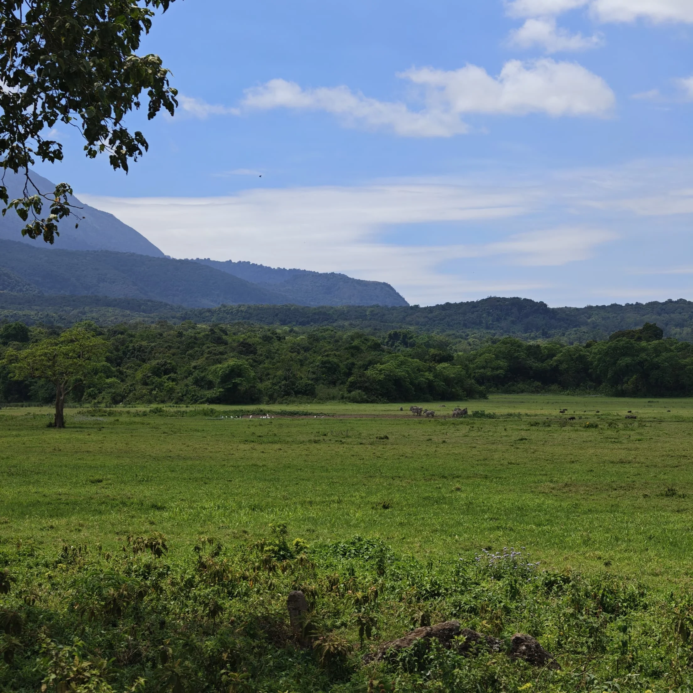 Arusha National Park Day Safari
