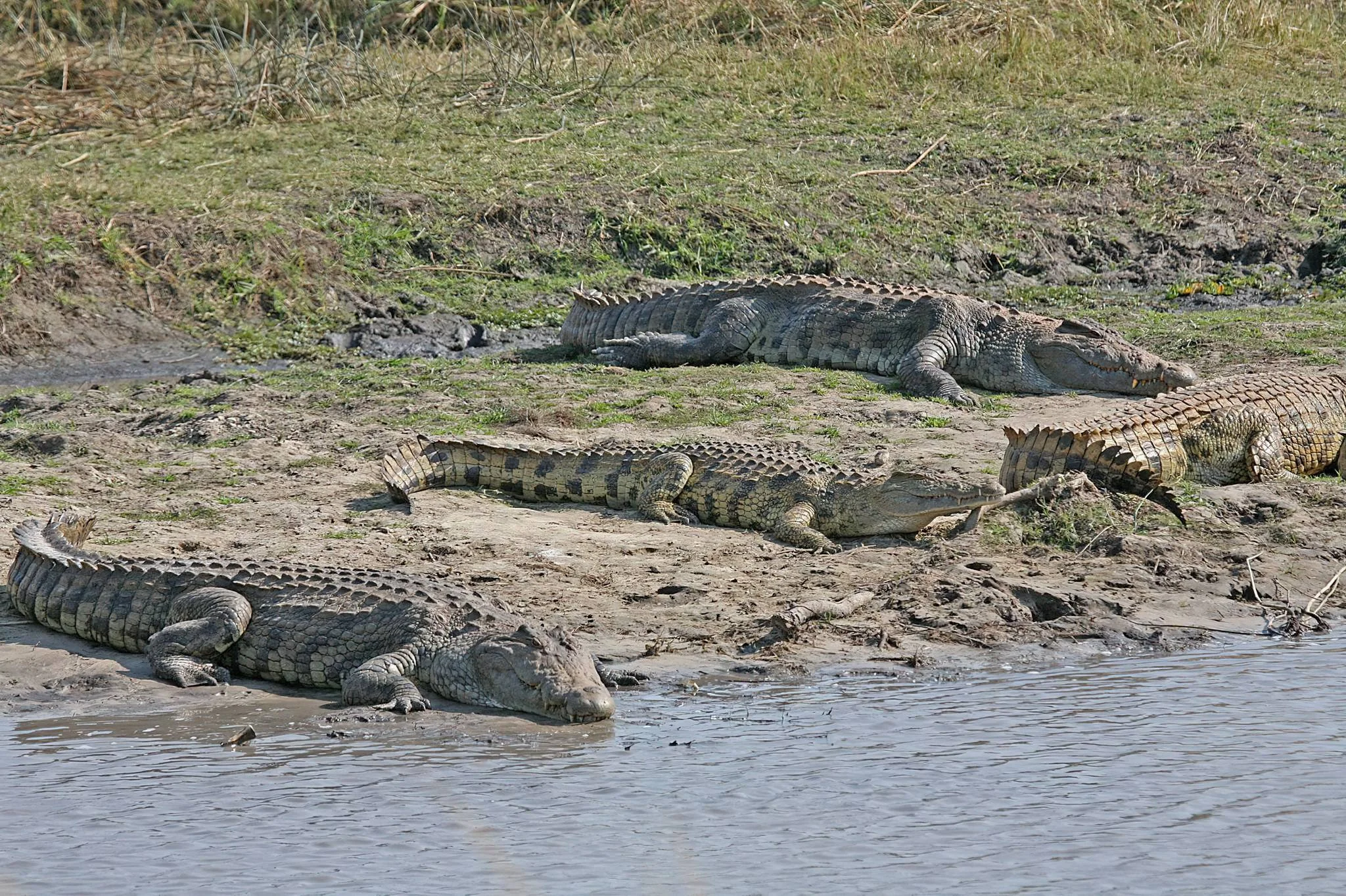 Katavi National Park – photo 23