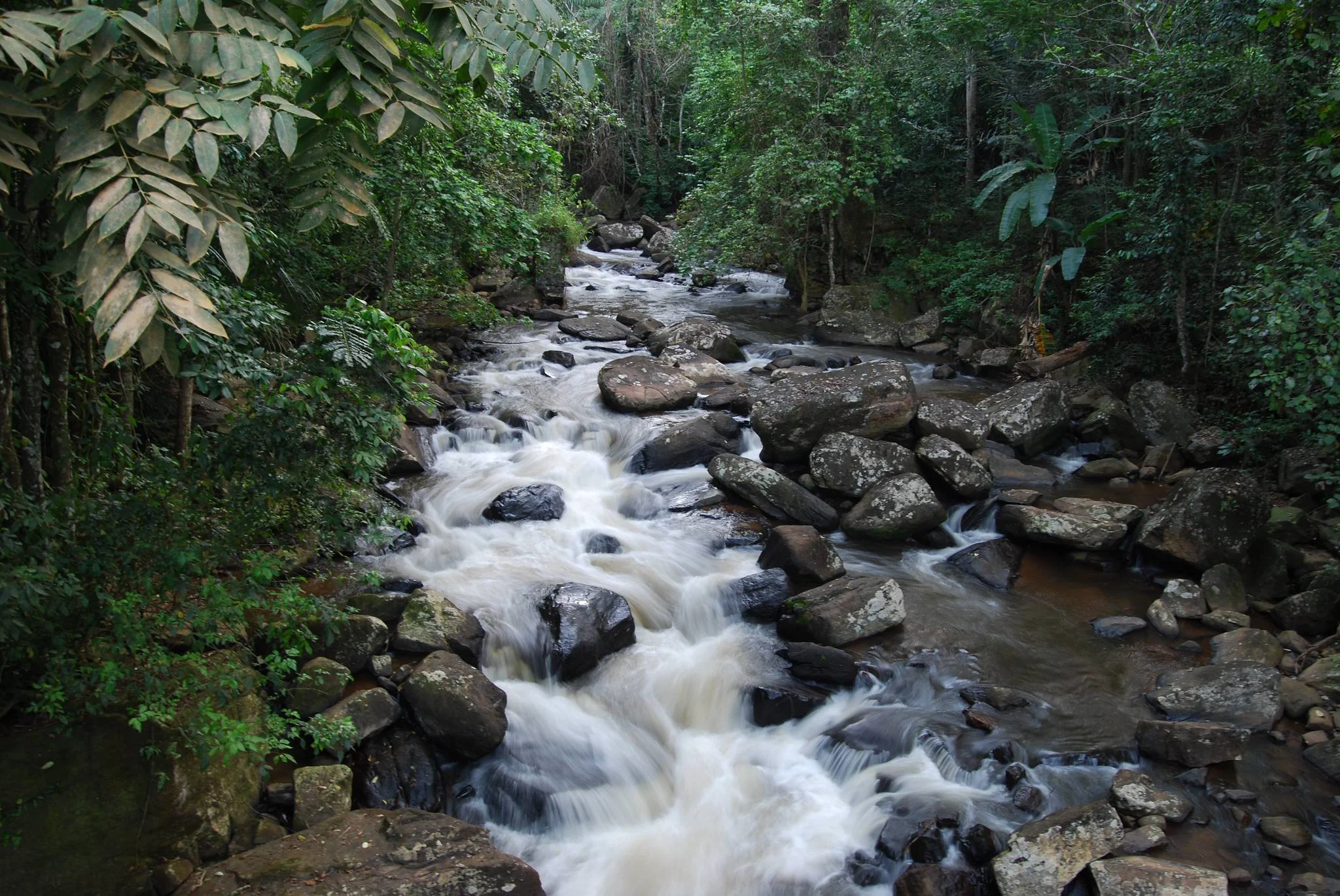 Usambara Mountains – photo 39