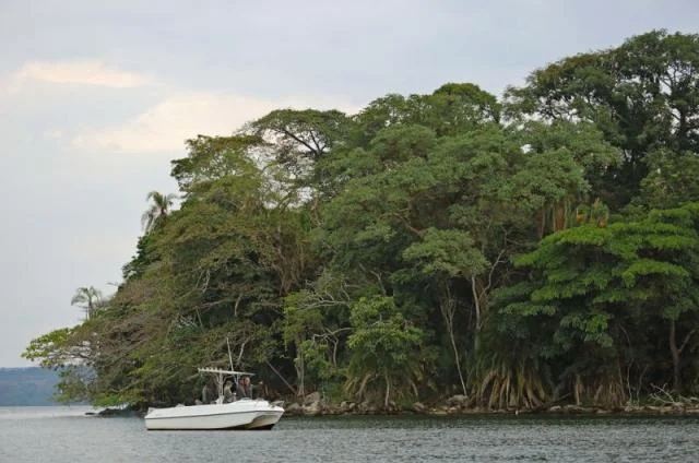 Lake Victoria – photo 15