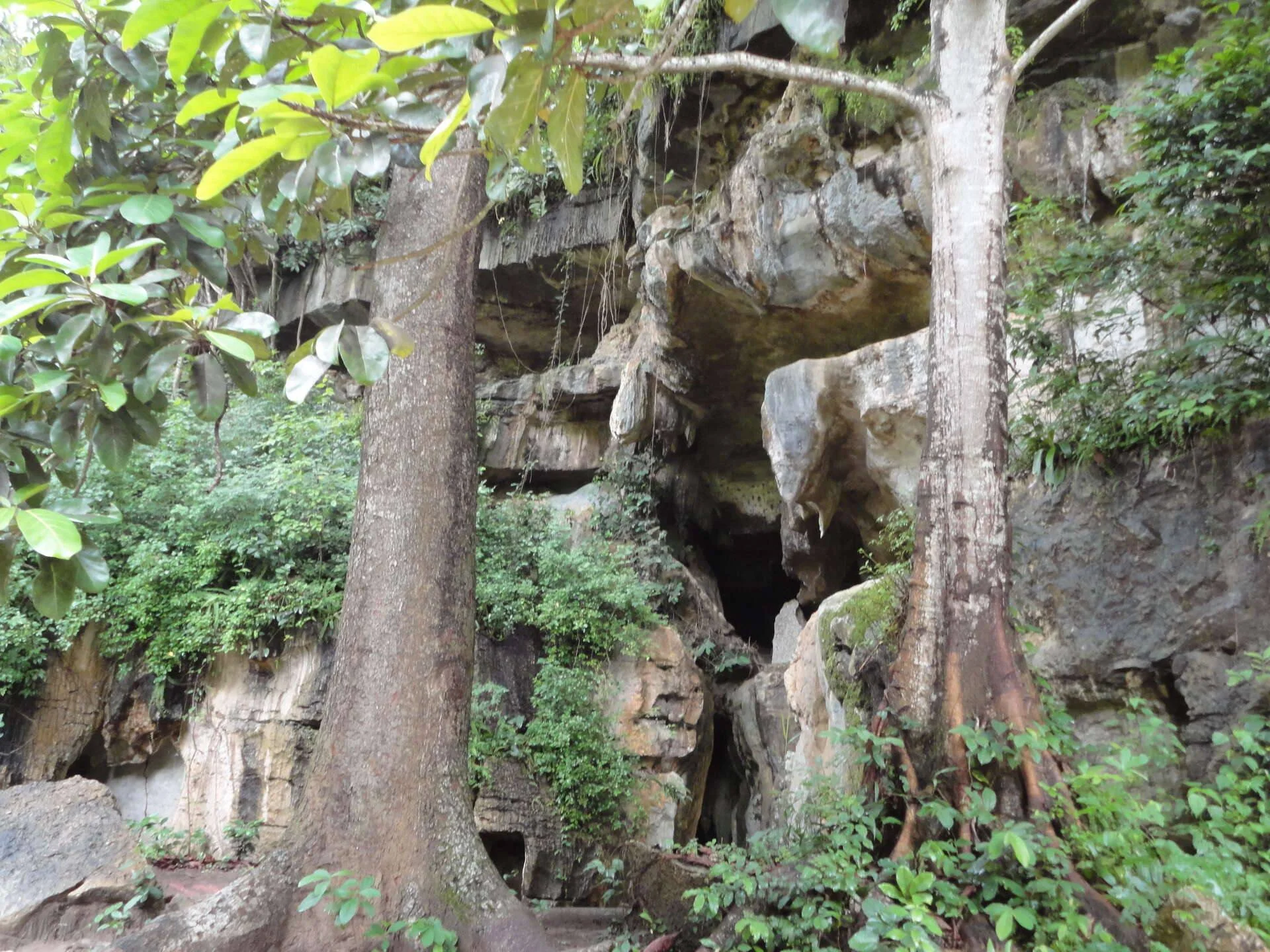 Amboni Caves – photo 22