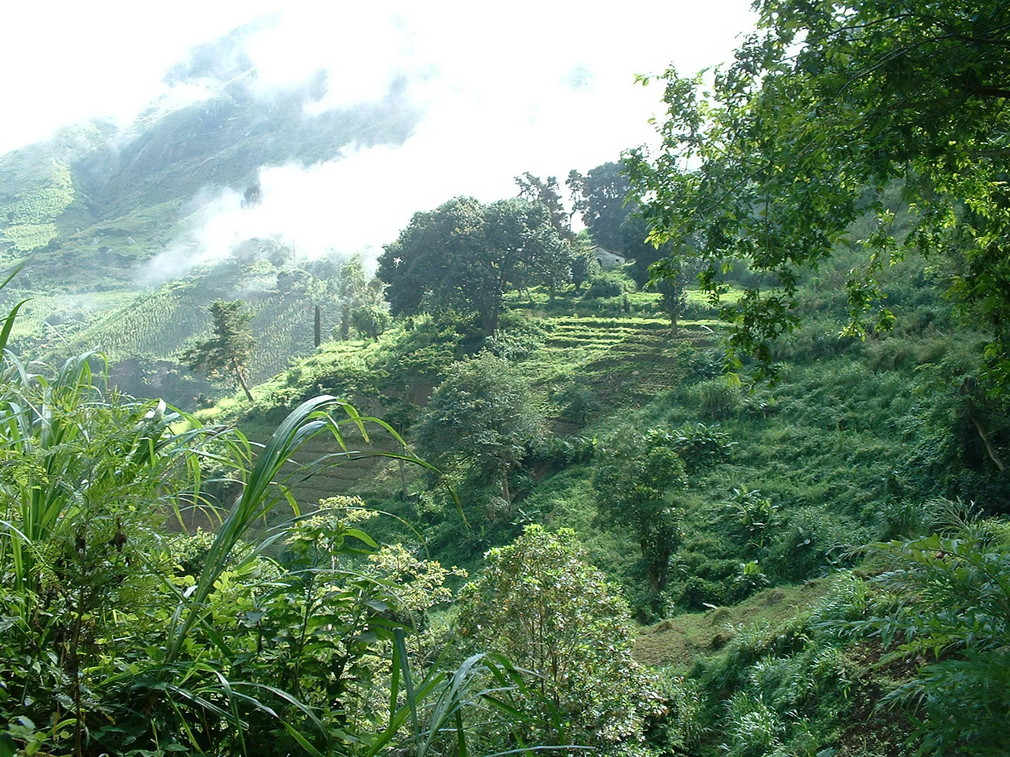 Uluguru Mountains – photo 35