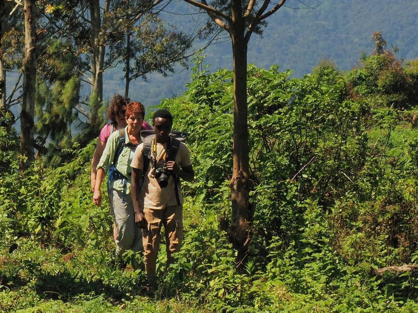 Usambara Mountains – photo 28