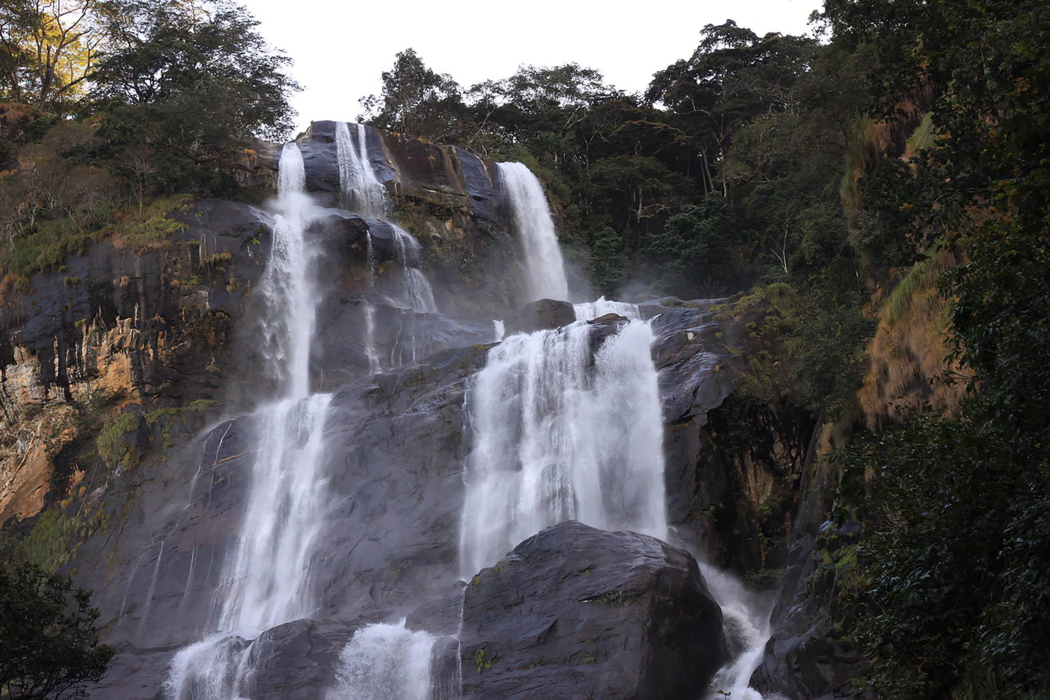 Udzungwa Mountains National Park – photo 12