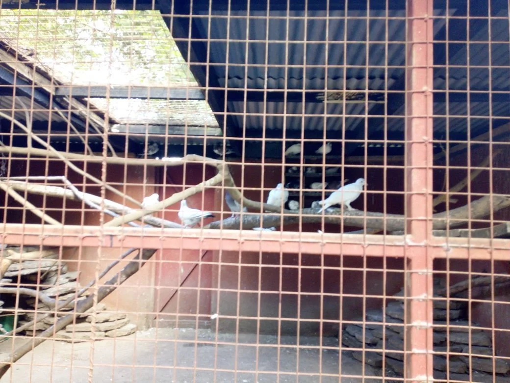 Arusha Snake Park – photo 10