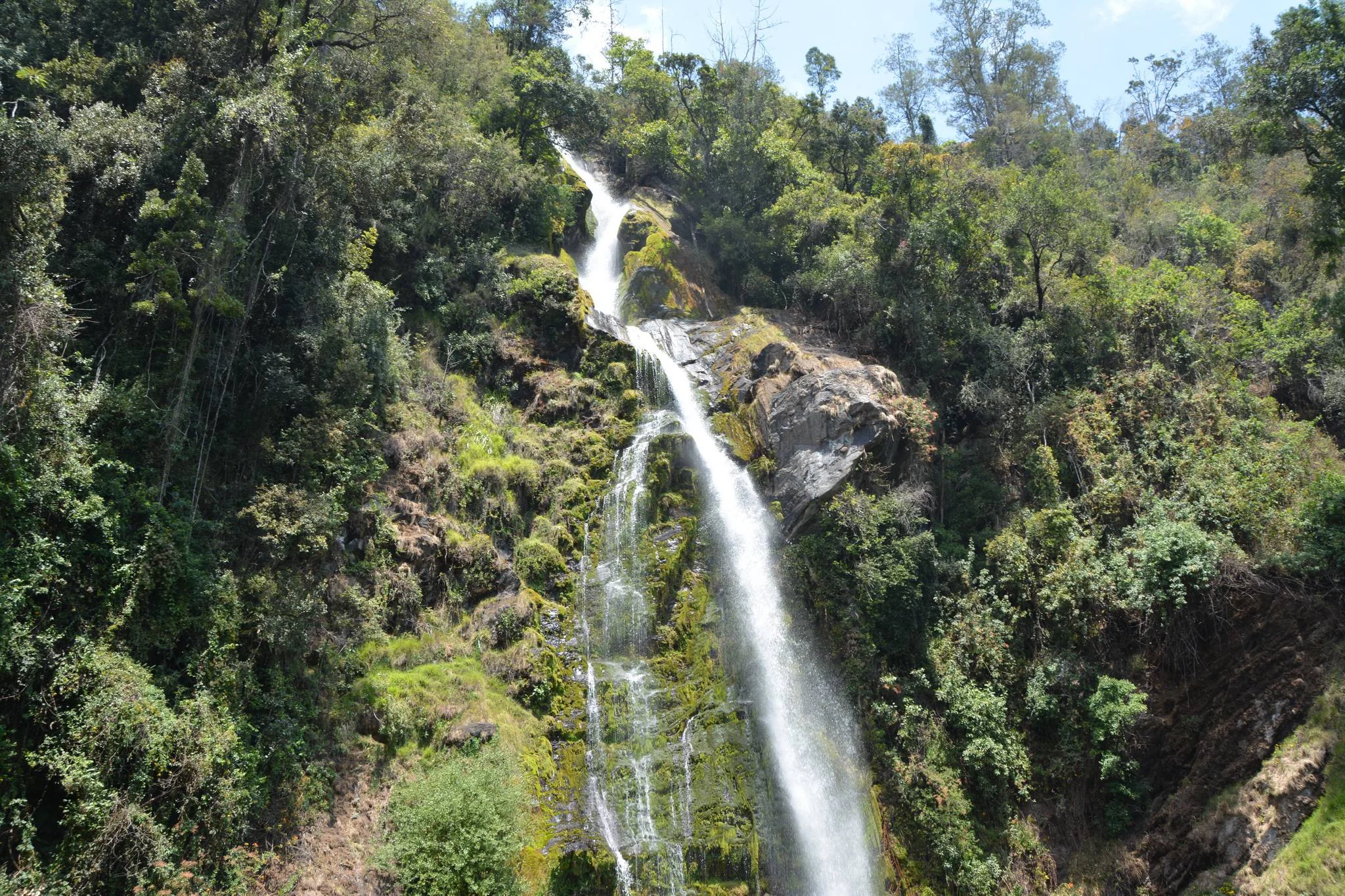 Kitulo National Park – photo 19
