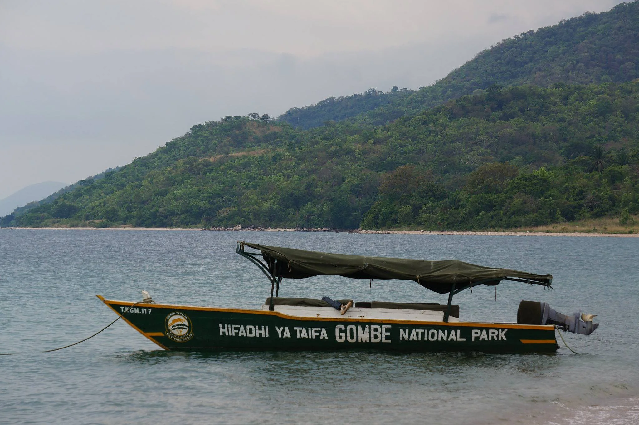 Gombe Stream National Park – photo 8
