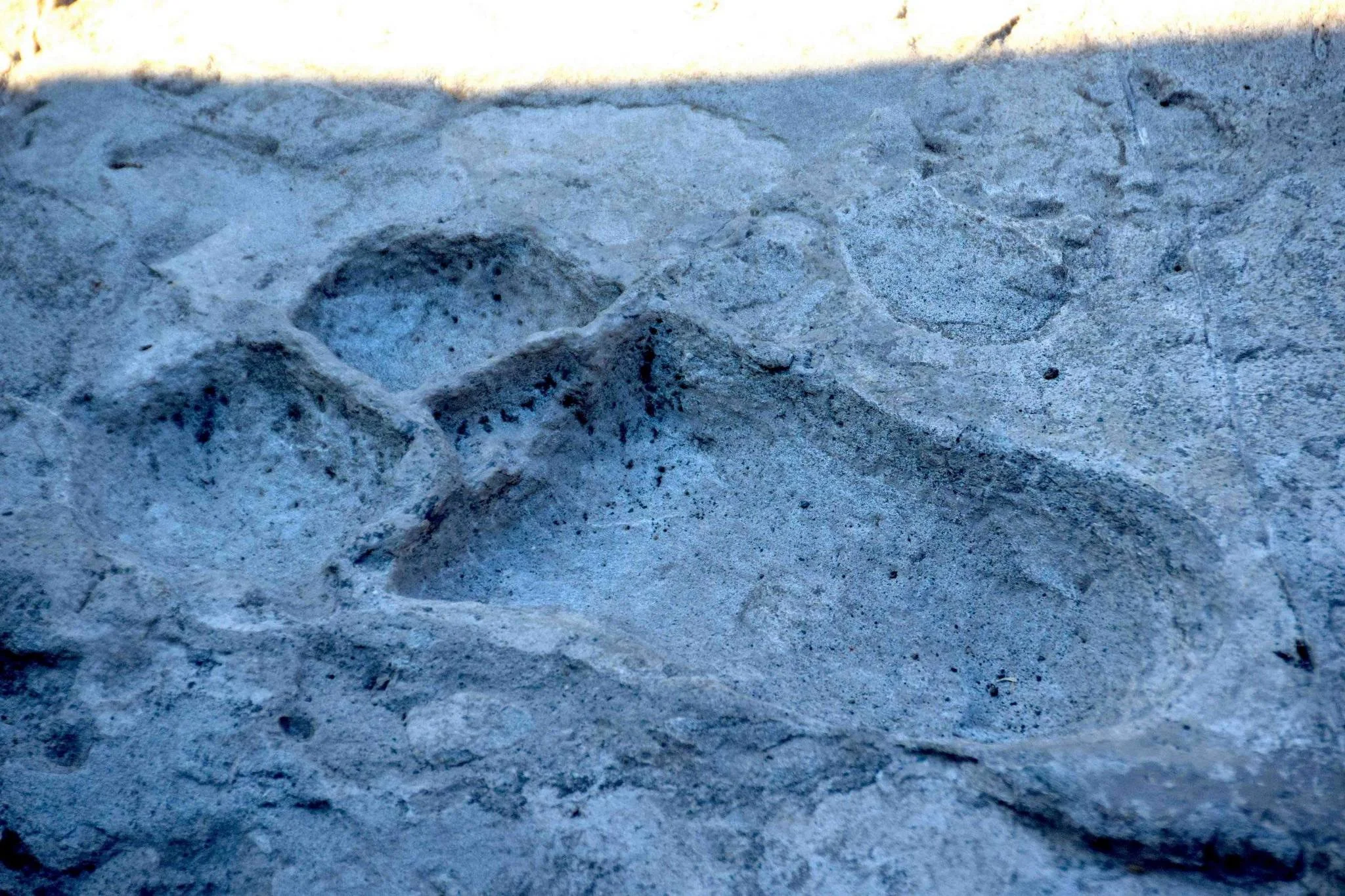 Laetoli Footprints – photo 7