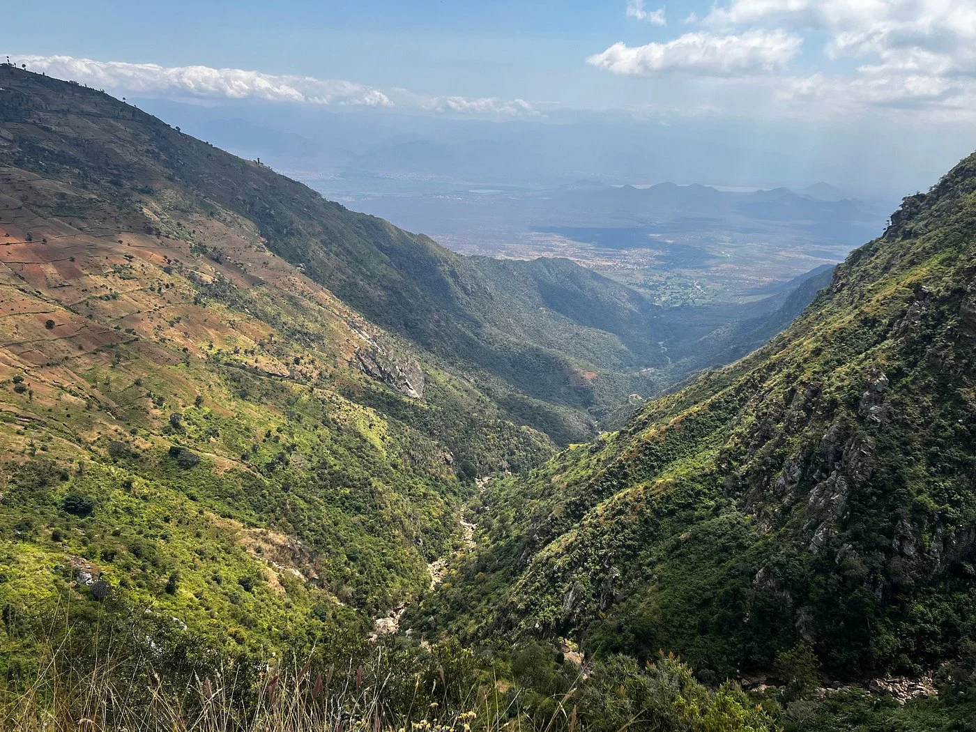 Usambara Mountains – photo 27