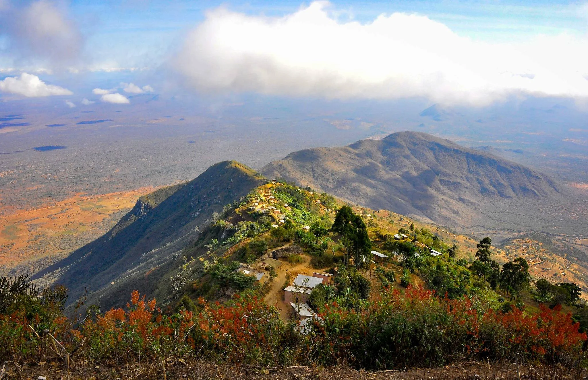 Usambara Mountains – photo 33