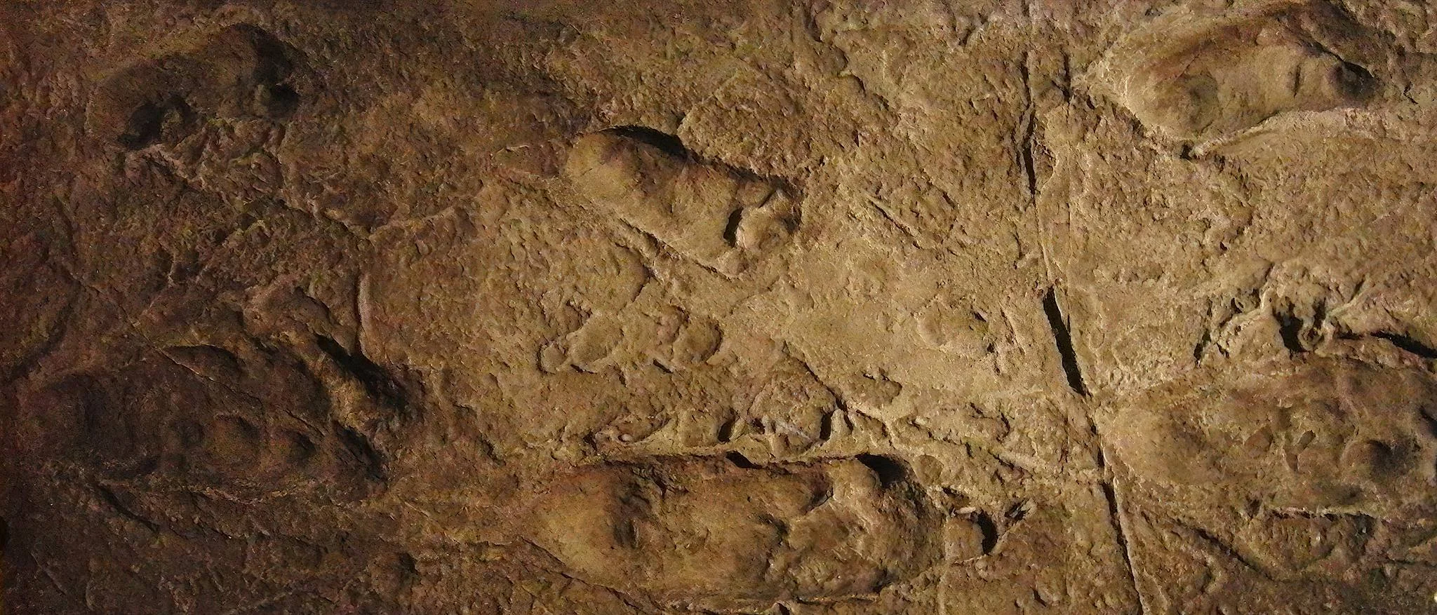 Laetoli Footprints – photo 6