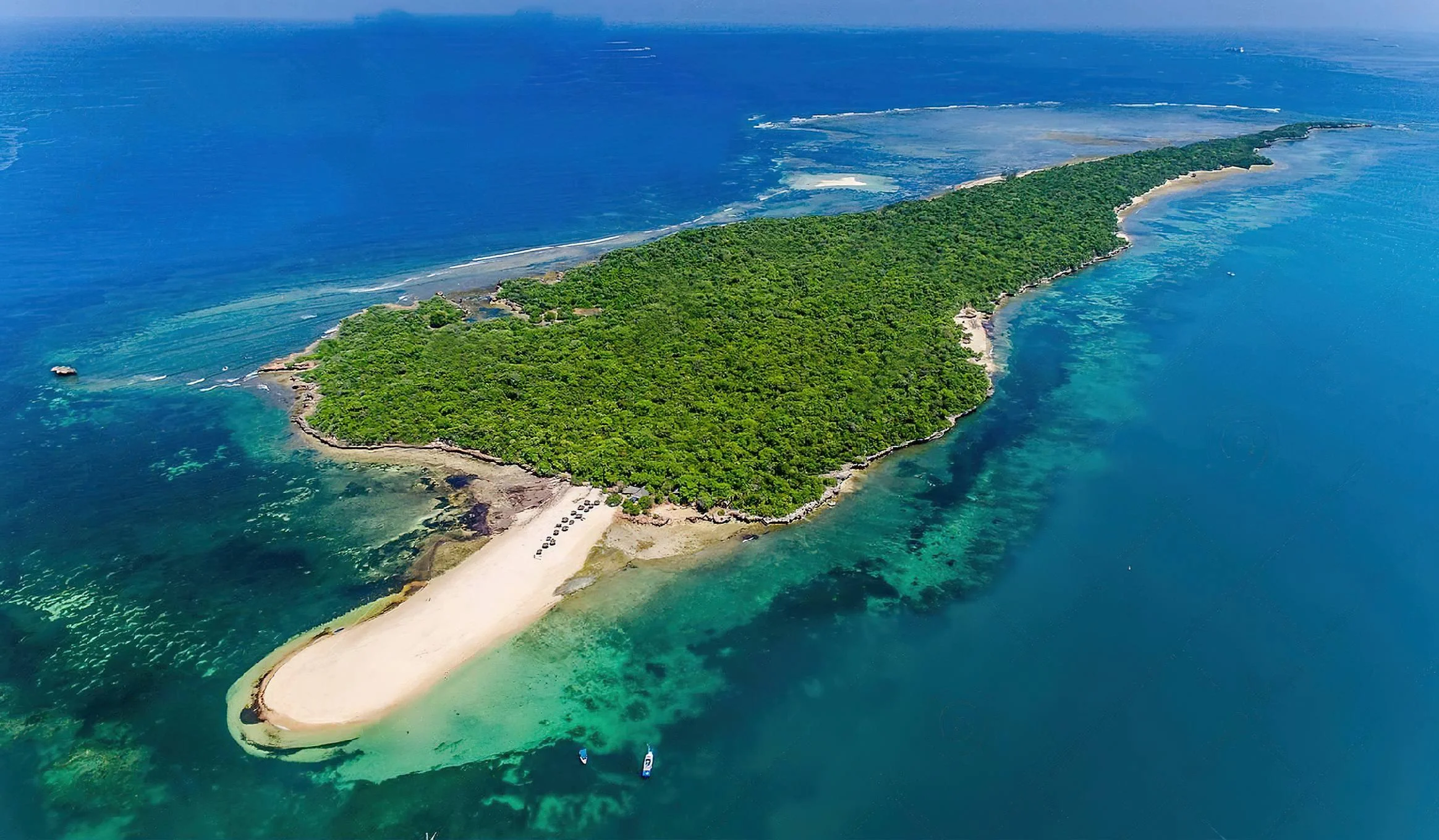 Bongoyo Island Marine Reserve – photo 16