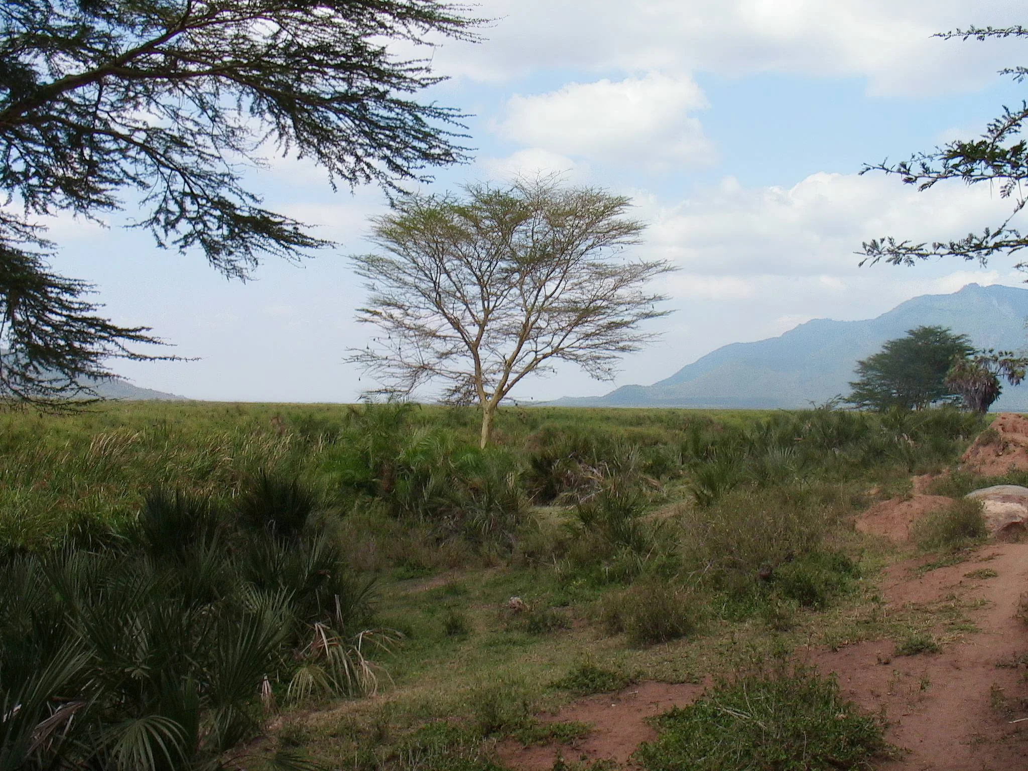 Lake Jipe – photo 16
