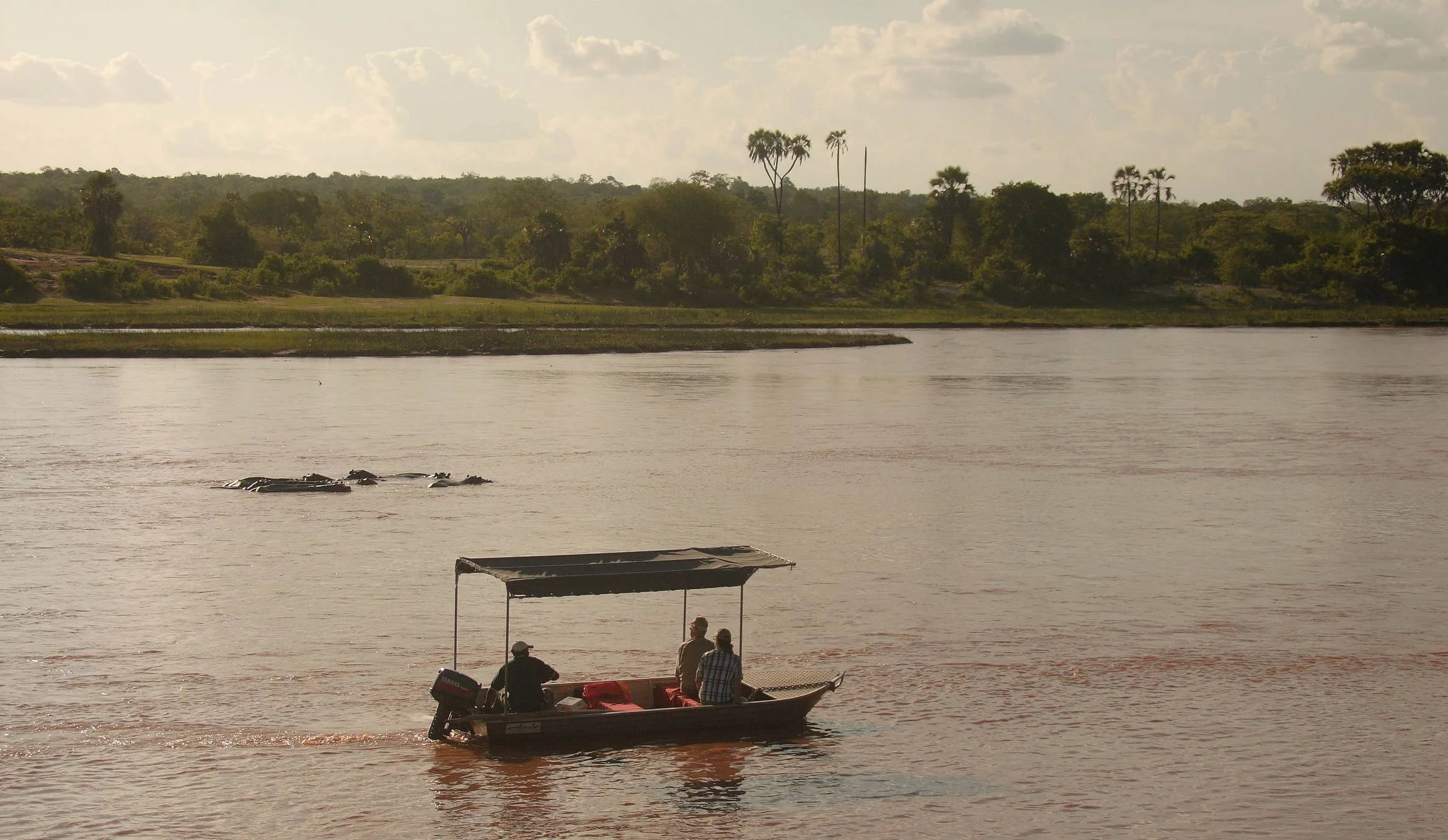 A small safari boat navigating a wide river at dusk in Ruaha National Park.