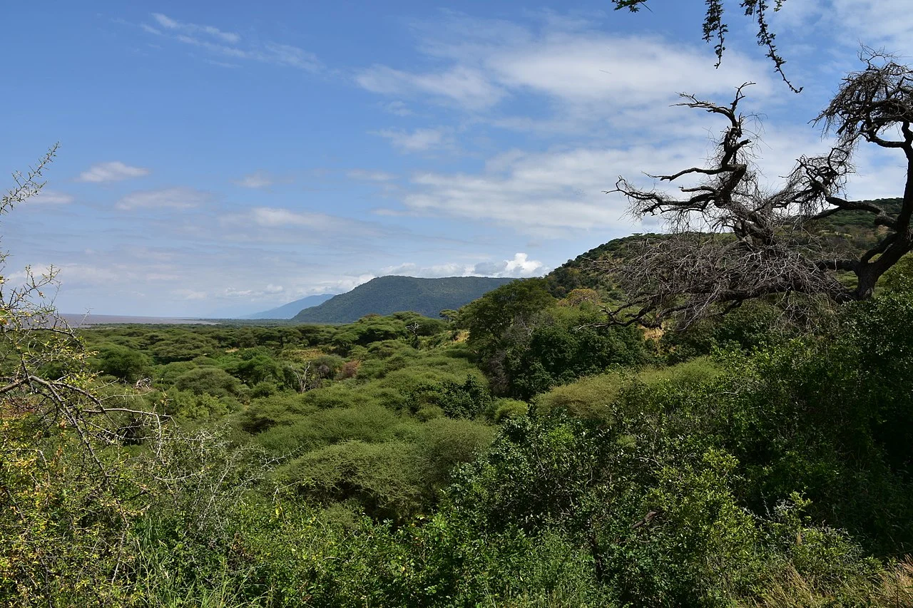 Lake Manyara National Park