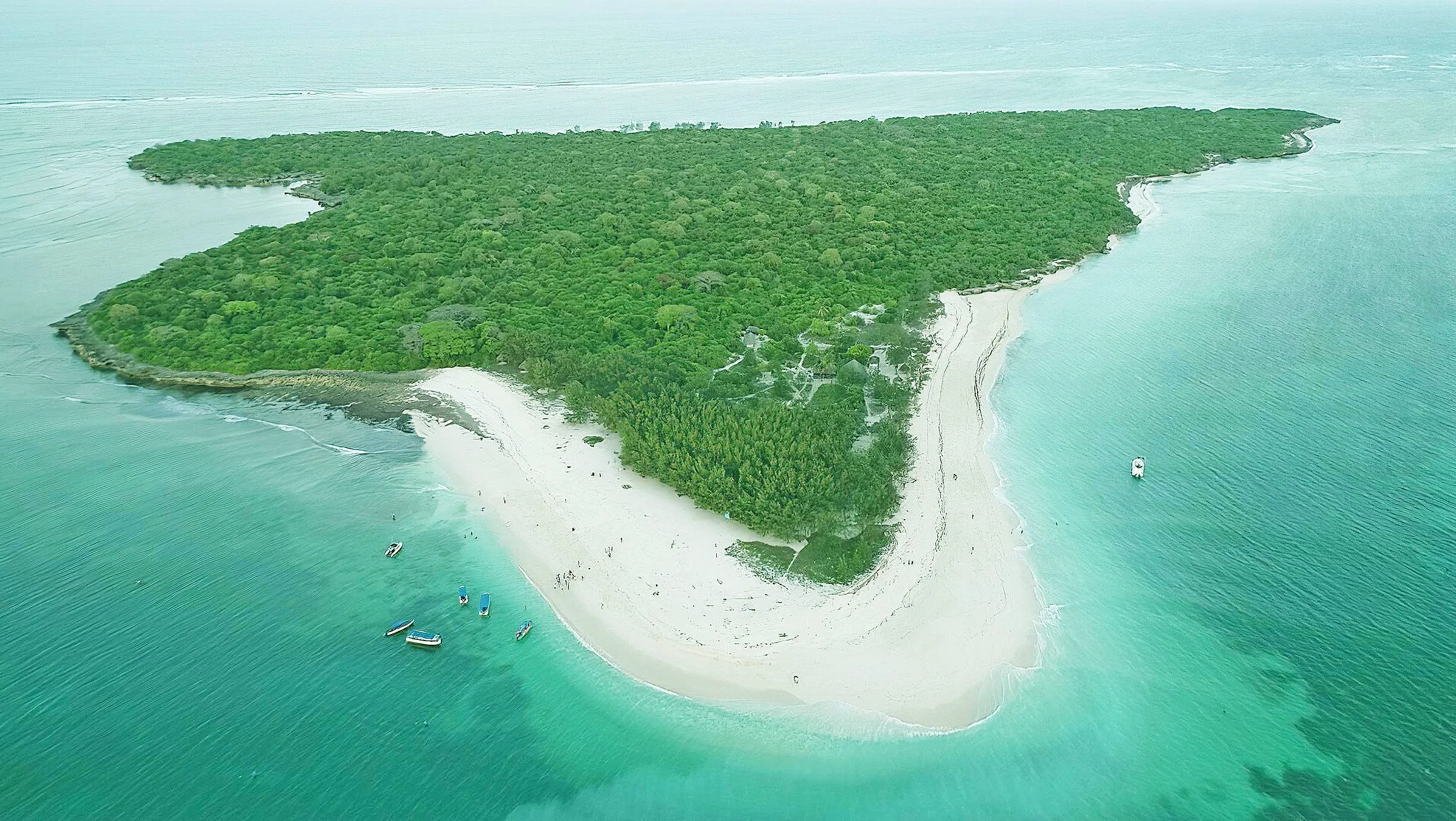 Mbudya Island Marine Reserve – photo 5