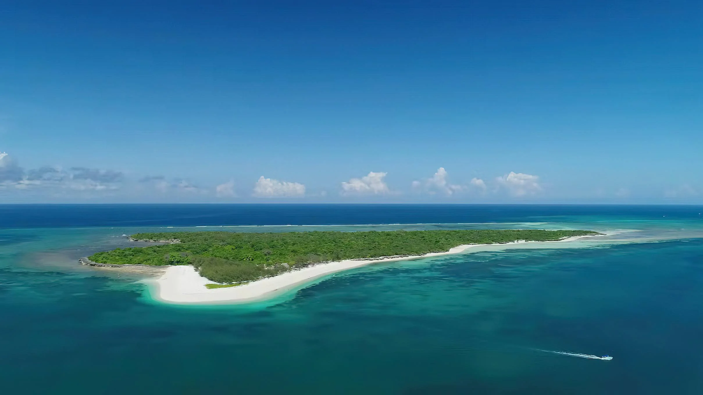Bongoyo Island Marine Reserve – photo 7