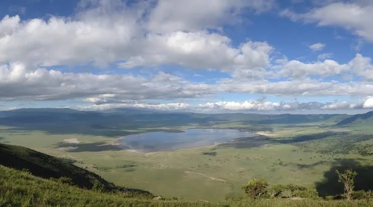Ngorongoro Northern Highland Forest Reserve – photo 2