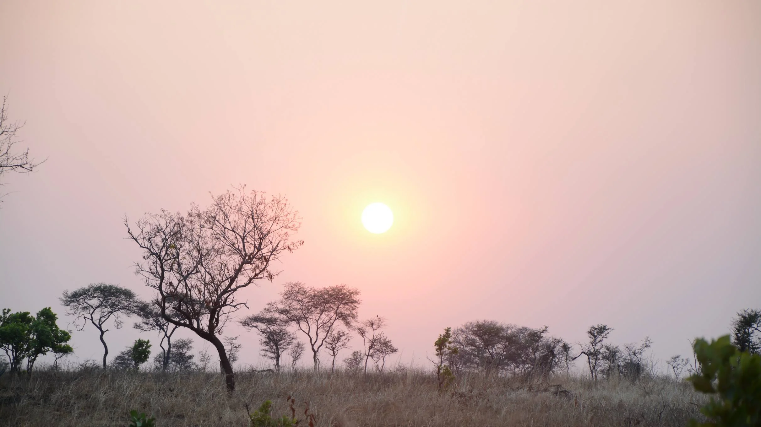 Katavi National Park – photo 13