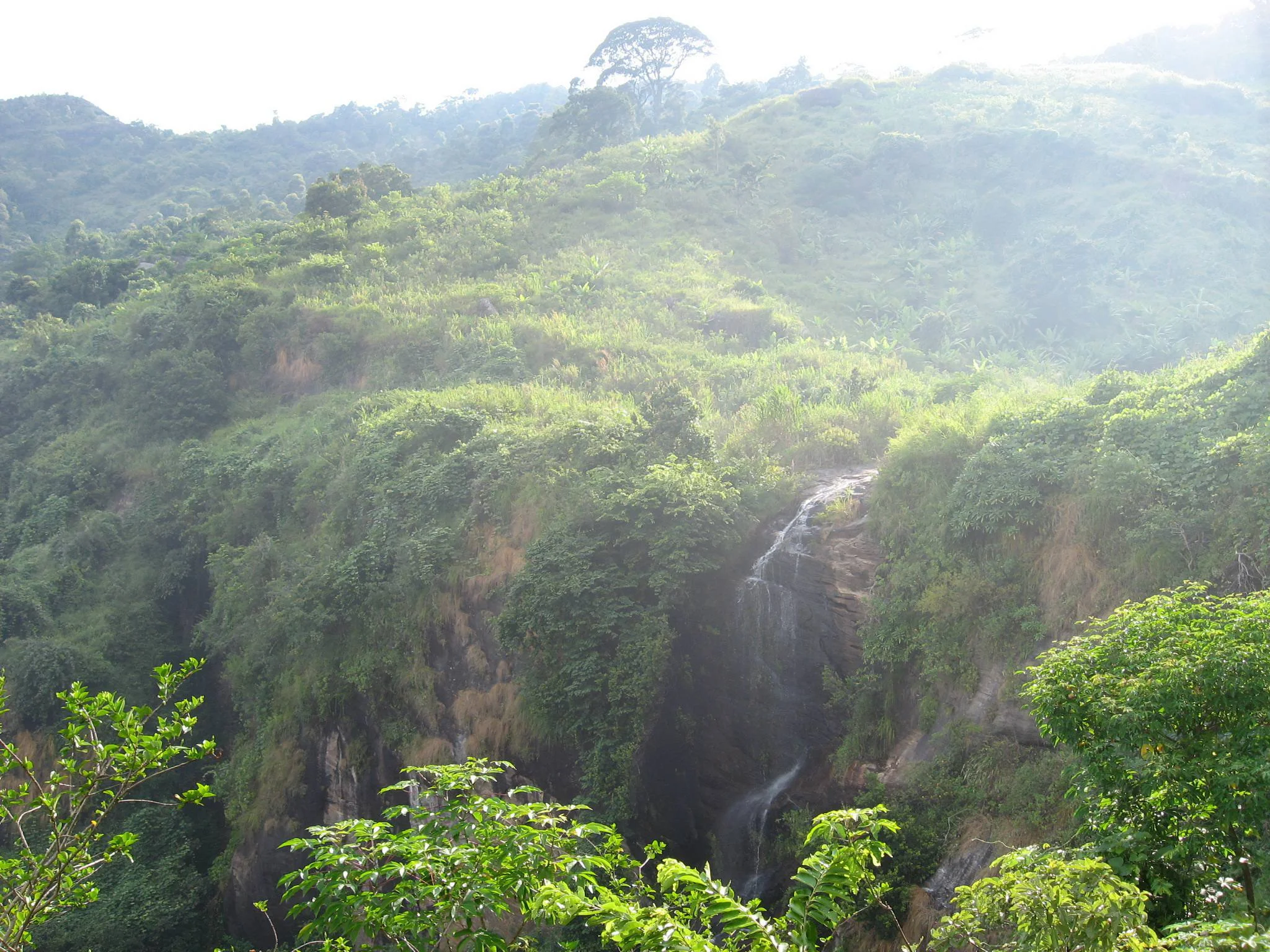 Uluguru Mountains – photo 30