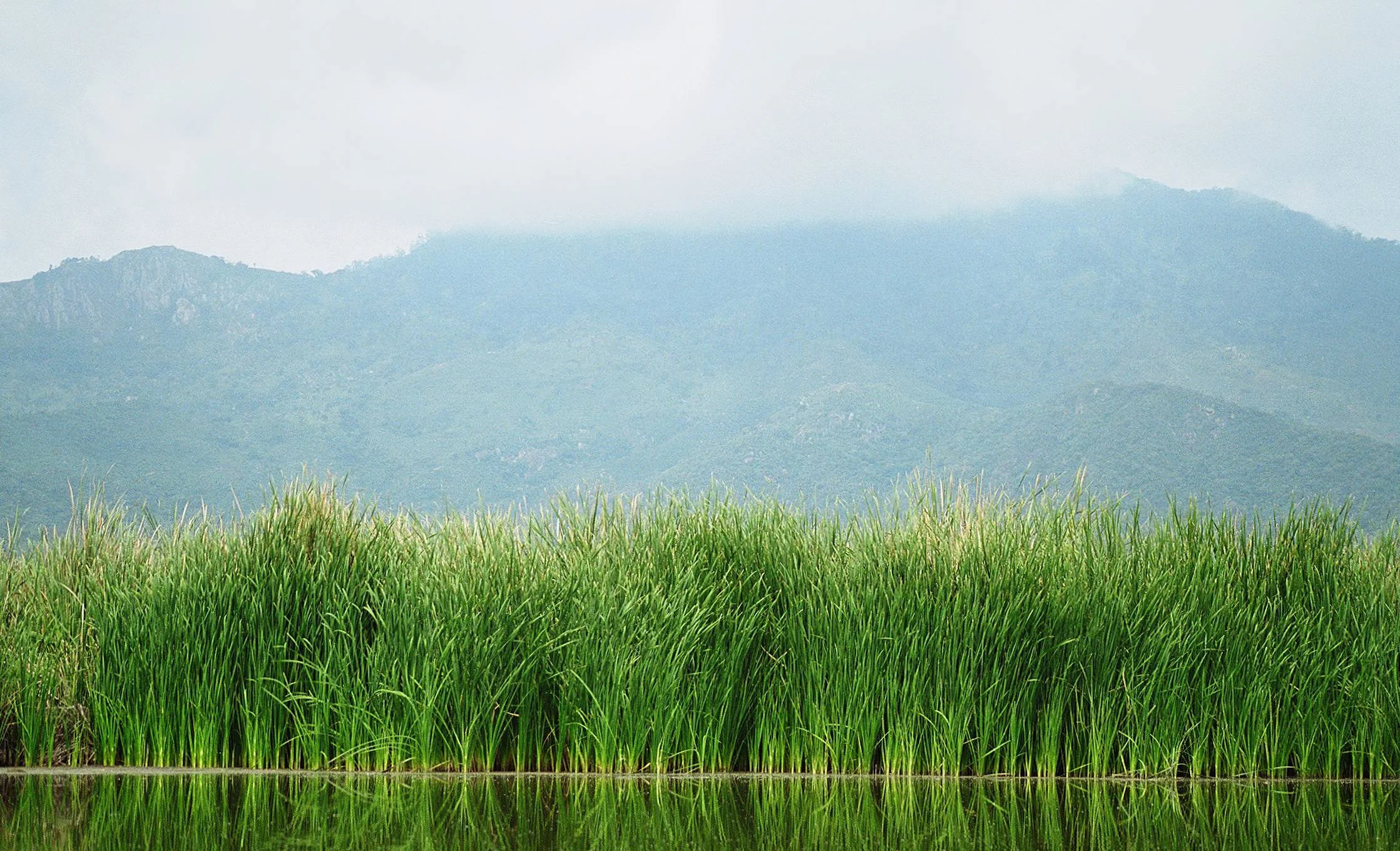 Lake Jipe