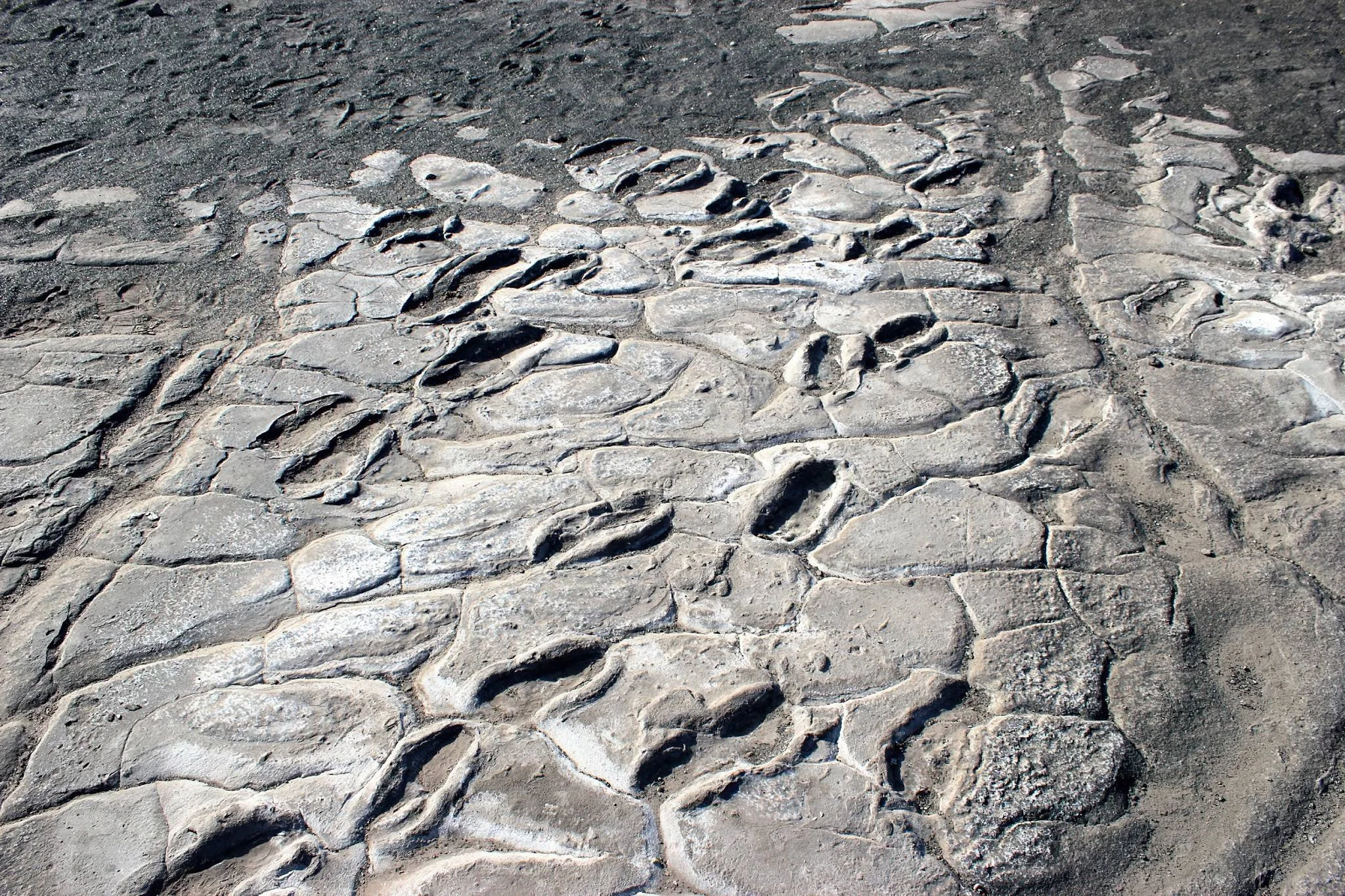Laetoli Footprints – photo 11