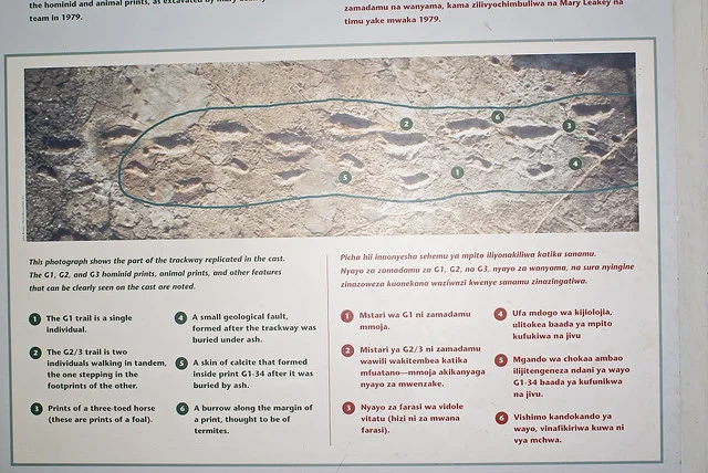 Laetoli Footprints – photo 4