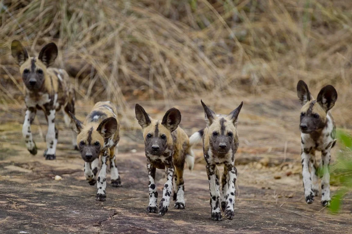 Ibanda-Kyerwa National Park – photo 7