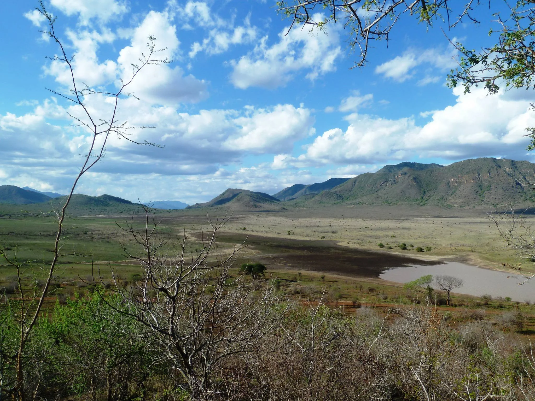 Mkomazi National Park – photo 8