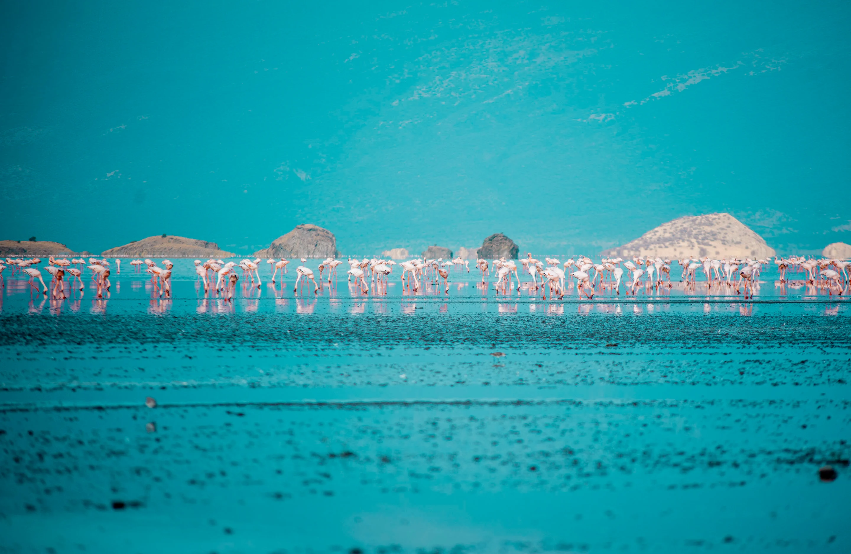 Lake Natron – photo 5