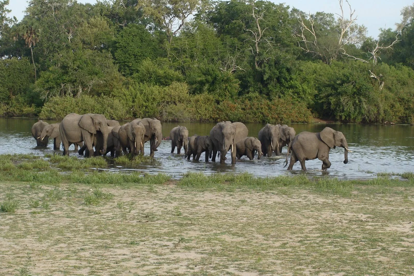 Nyerere National Park – photo 5