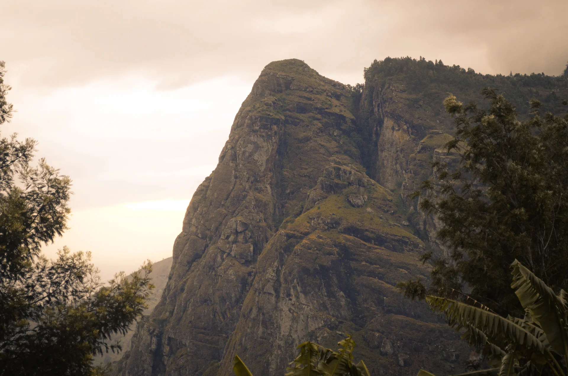 Usambara Mountains