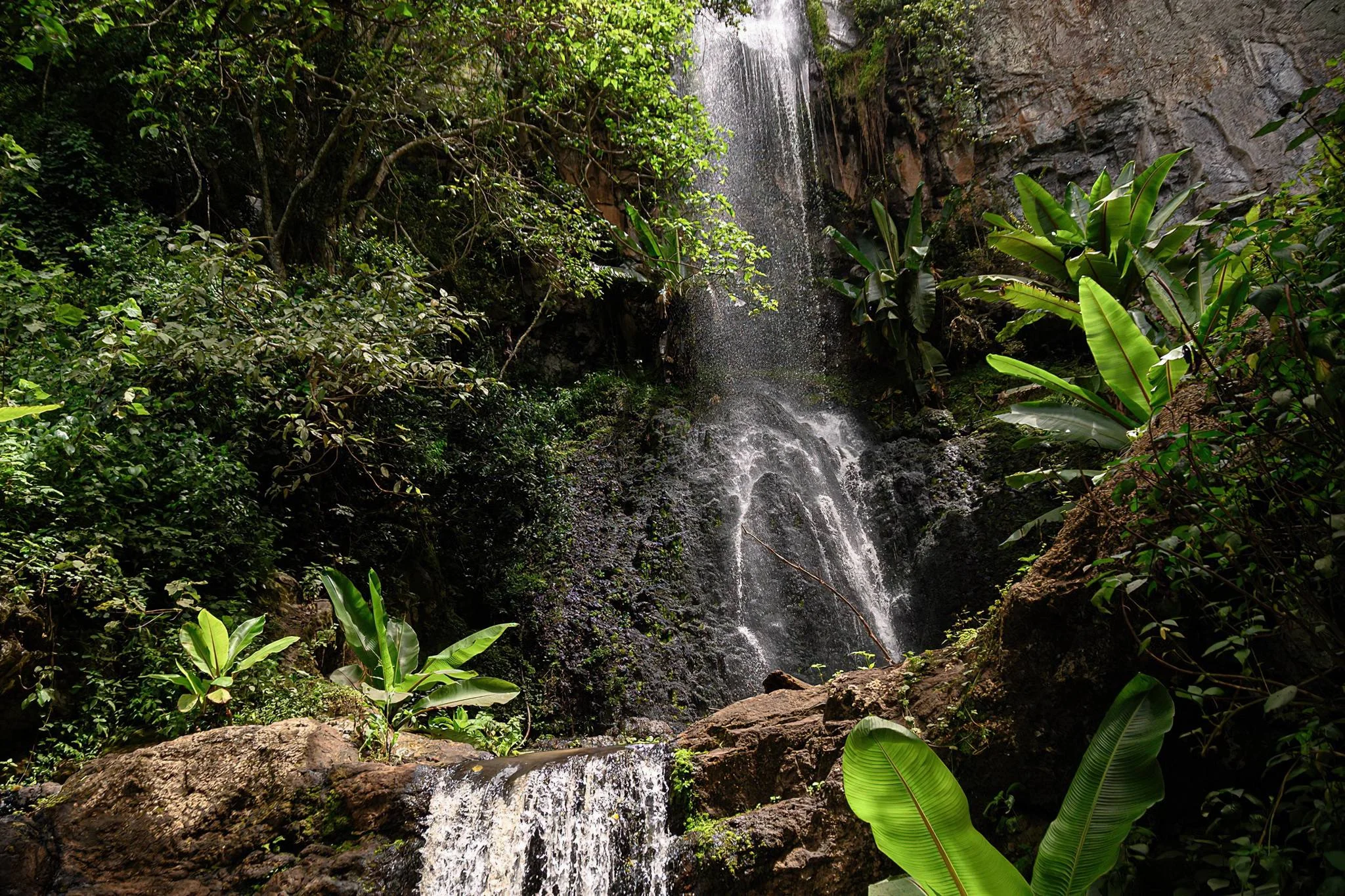 Ngorongoro Northern Highland Forest Reserve – photo 10