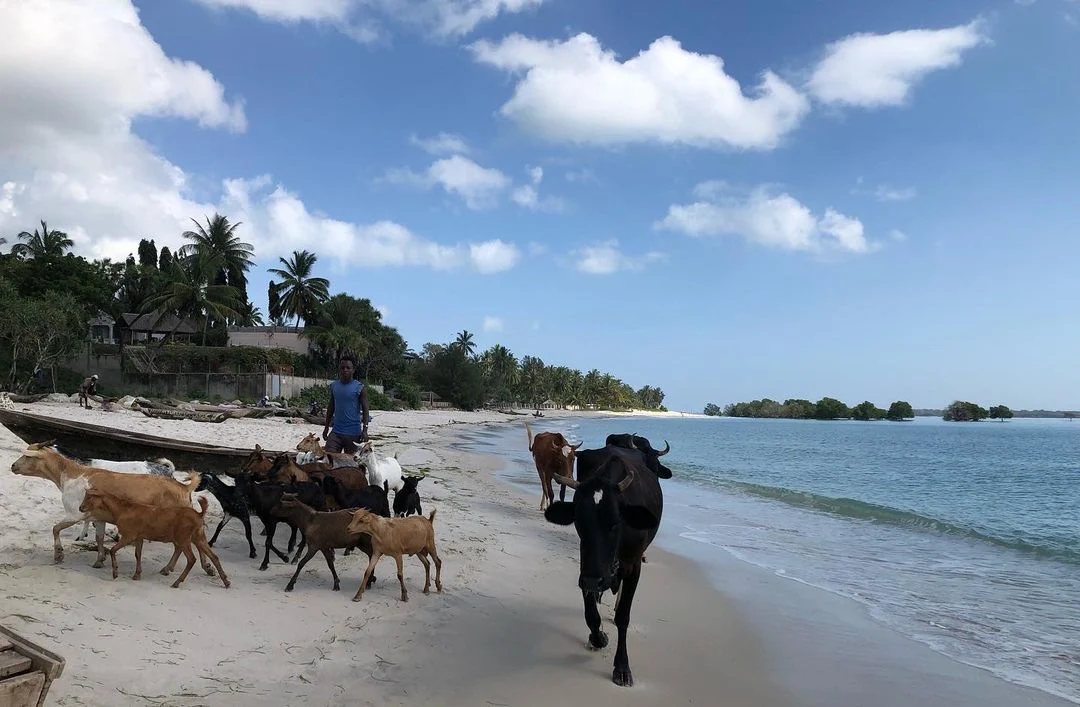 Dar es Salaam – photo 8