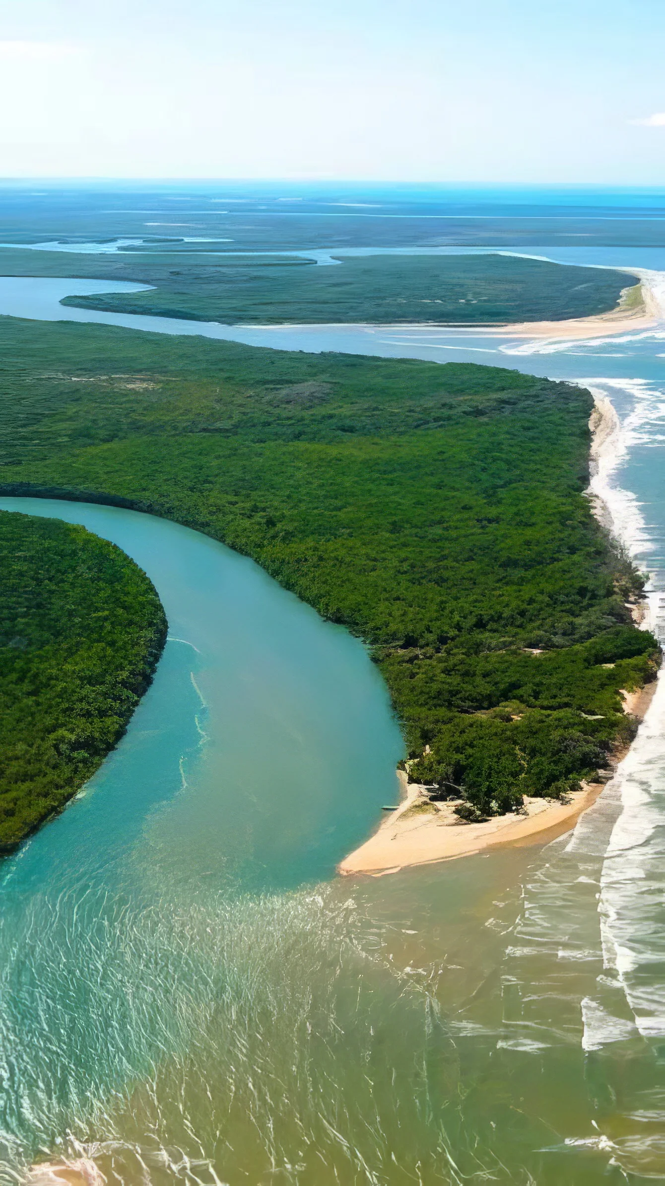 Mnazi Bay - Ruvuma Estuary Marine Park – photo 12