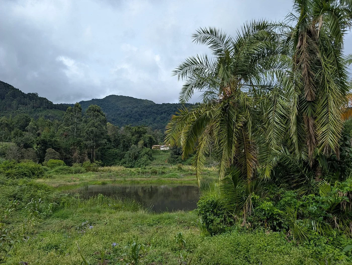 Usambara Mountains – photo 26