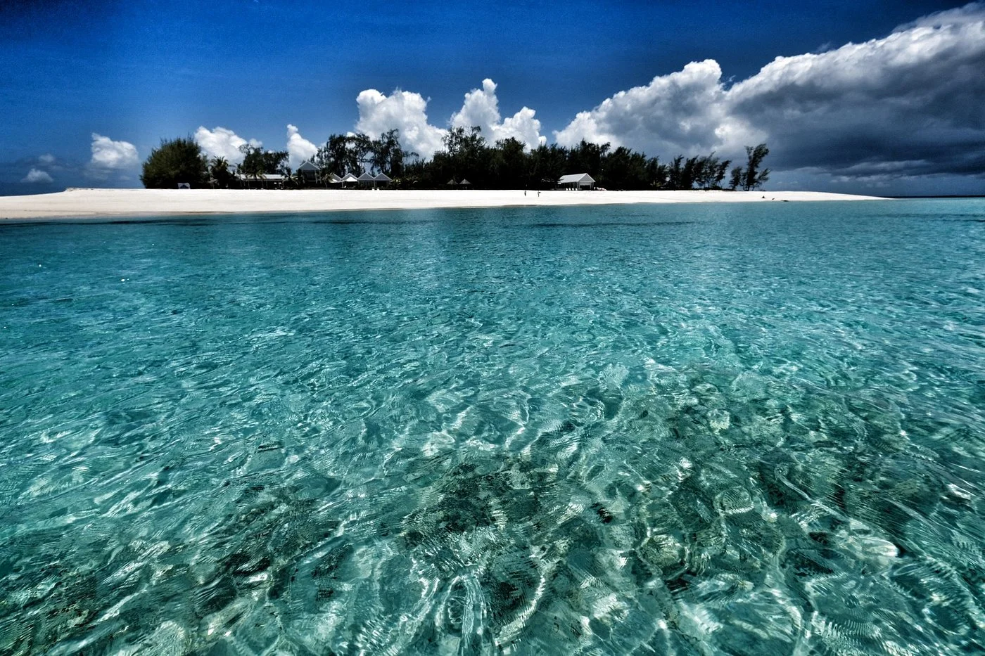 Mbudya Island Marine Reserve – photo 13